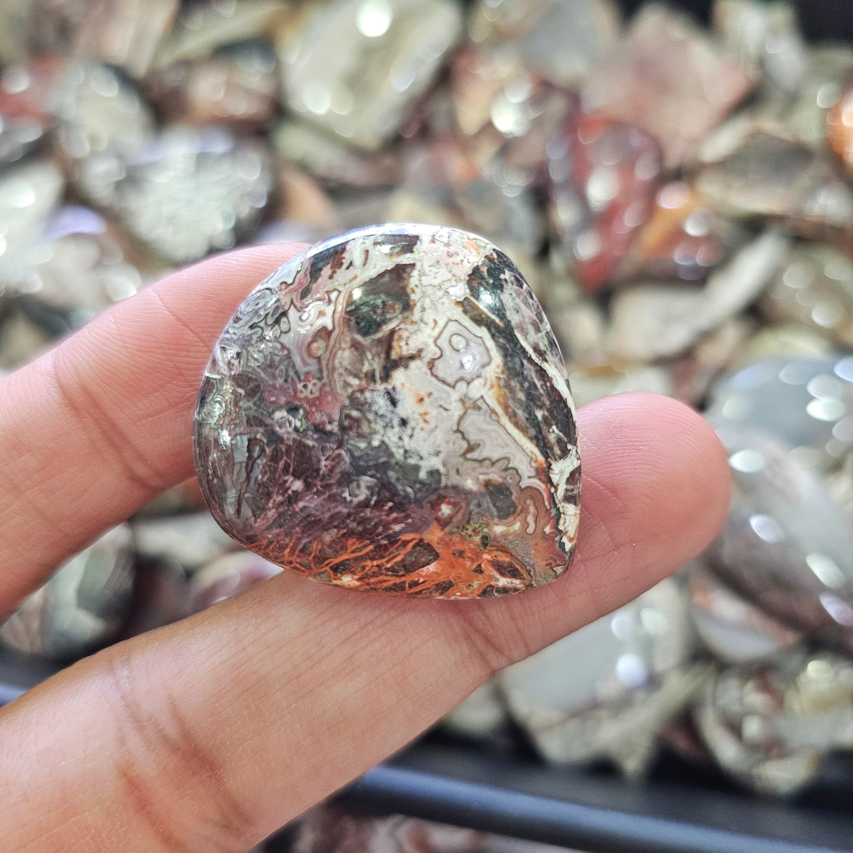500 Grams of Natural Mexican Crazy Lace Agate Cabochons | 22–45mm | 50–70 Pcs