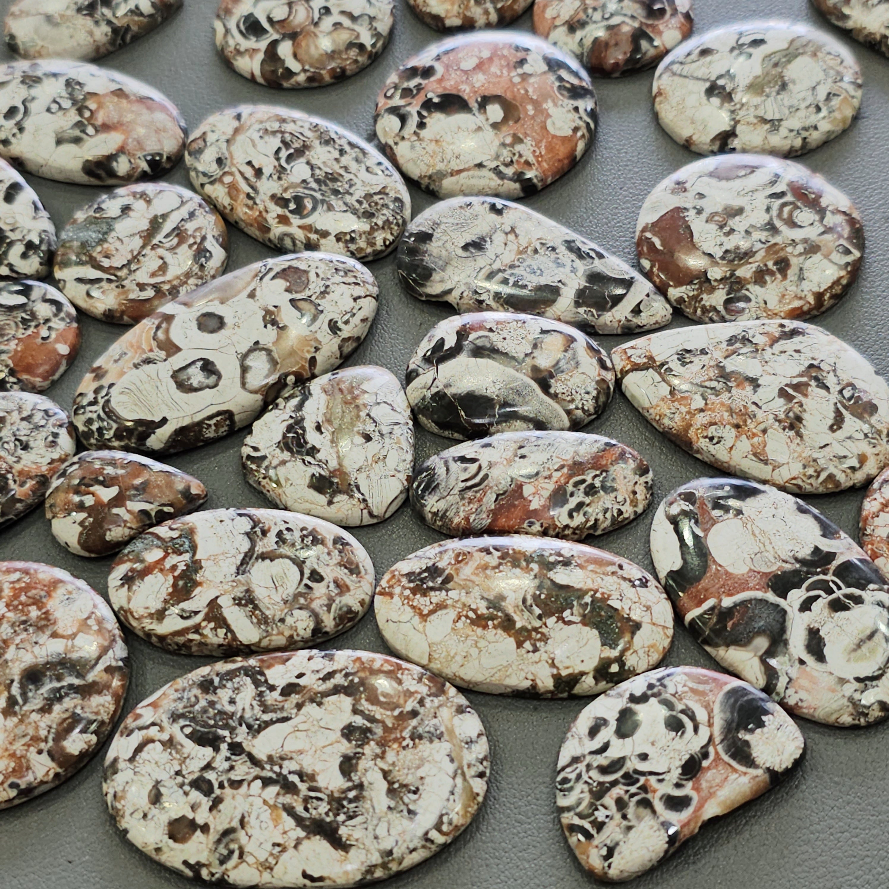 100 Grams Natural Mushroom Jasper Cabochons | 25–50mm | 10 Pcs Approx | Top Quality
