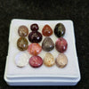 13 Pcs Natural Multi Tourmaline Cabochon | Mix | Size: 5-10mm - The LabradoriteKing
