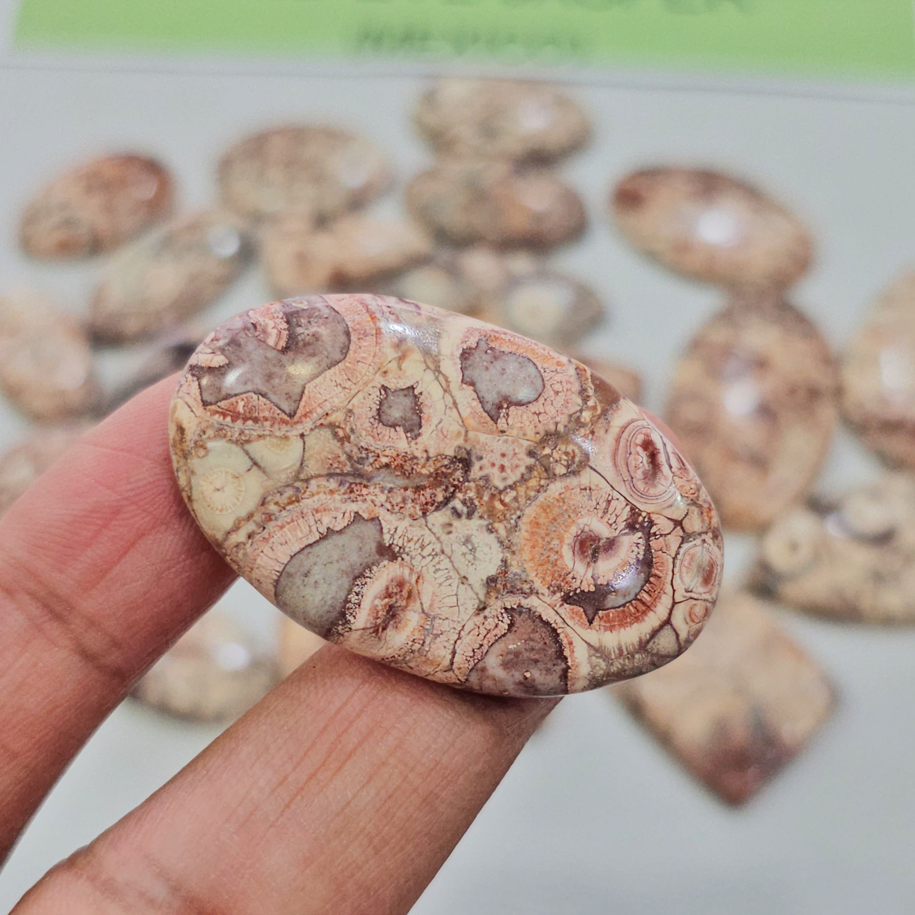 100 Grams Natural Bird Eye Jasper Gemstones | 15–20 Pcs | 15–45mm | Unique Pattern Stones - The LabradoriteKing
