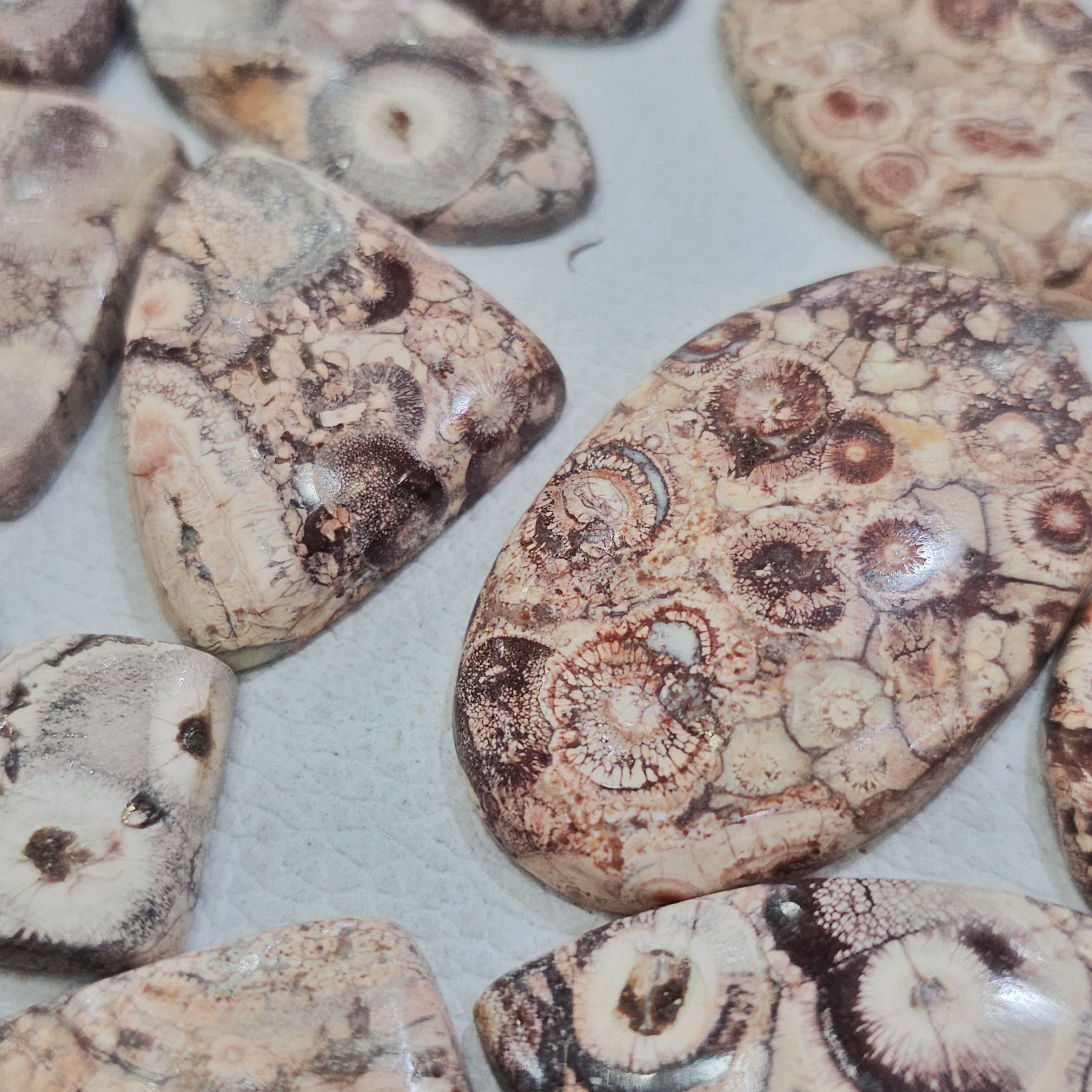 100 Grams Natural Bird Eye Jasper Gemstones | 15–20 Pcs | 15–45mm | Unique Pattern Stones - The LabradoriteKing