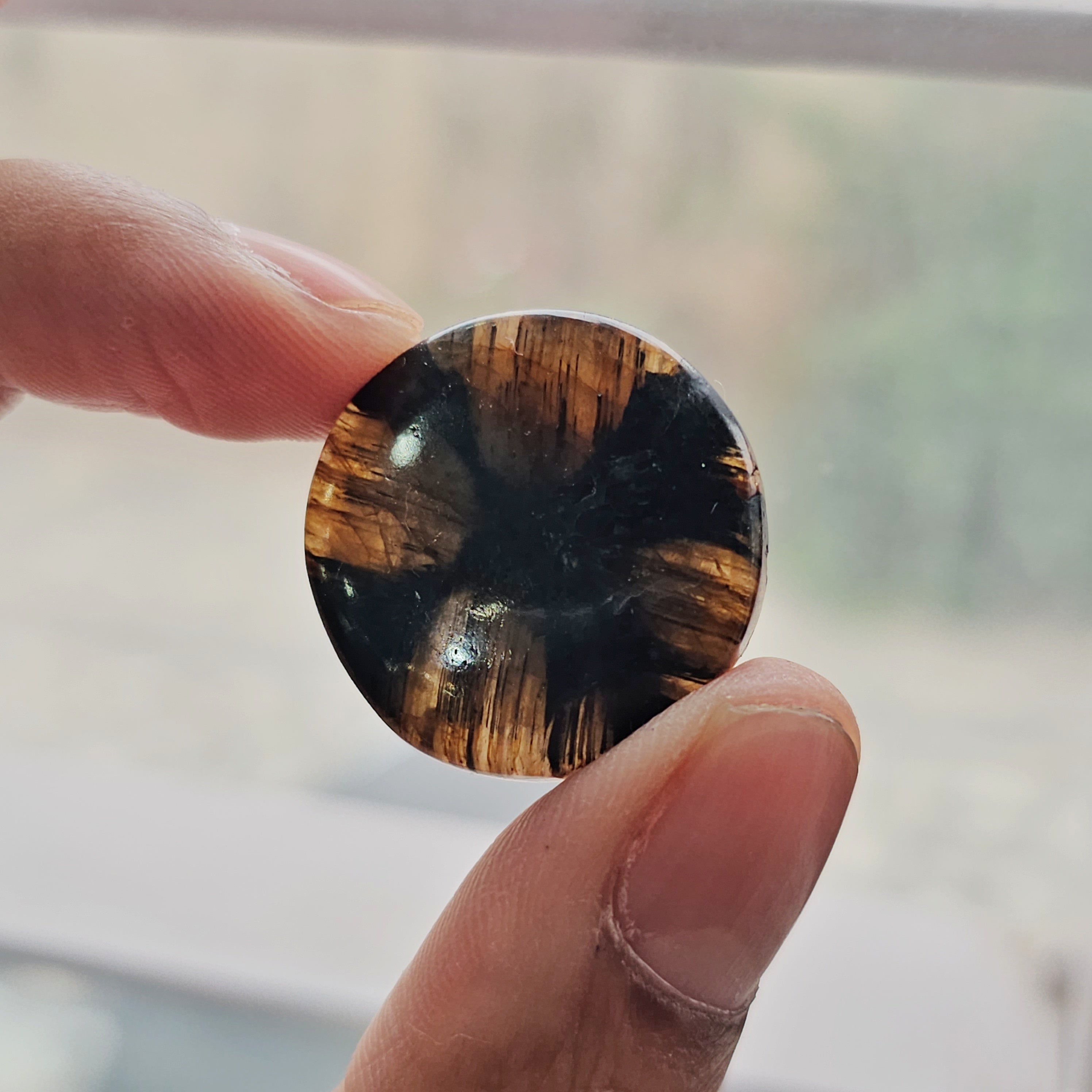 100 Grams Natural Chiastolite Trapiche Gemstones | 12 Pcs (Approx.) | 15–45mm | Cross Pattern Stones - The LabradoriteKing