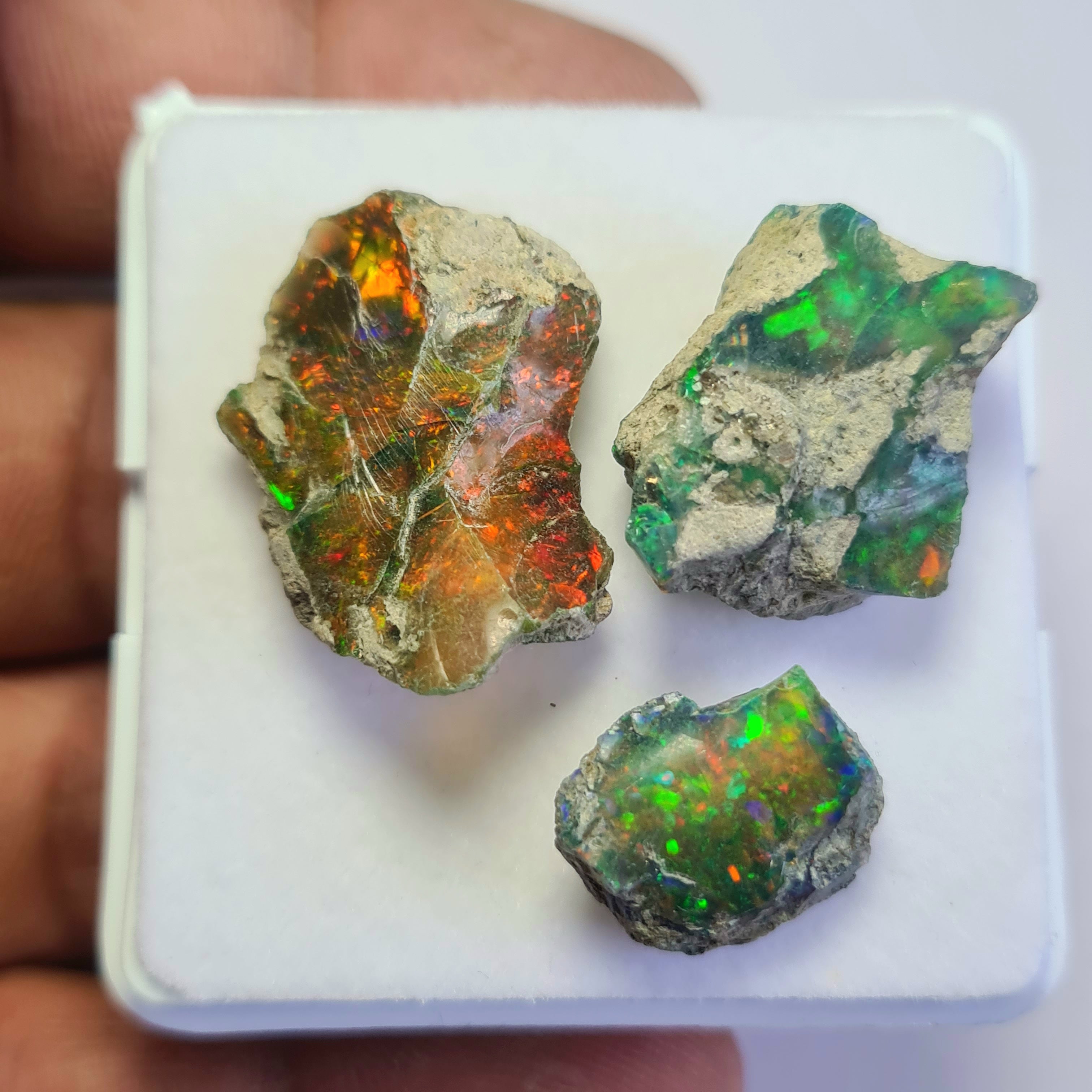 3 Pcs Natural Black Opal Rough | Sizes: 14-26mm - The LabradoriteKing
