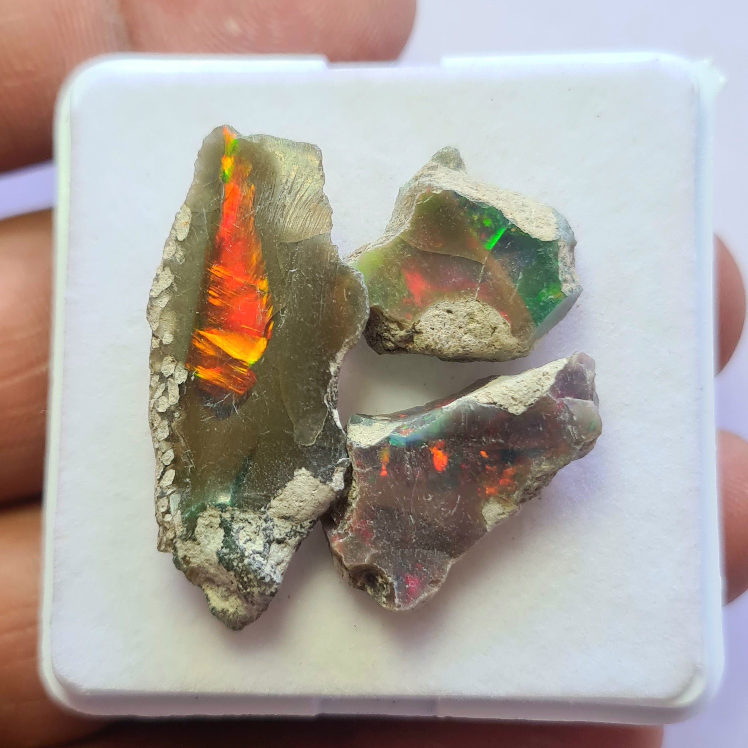 3 Pcs of Black Opal Rough | Sizes: 16-34mm - The LabradoriteKing