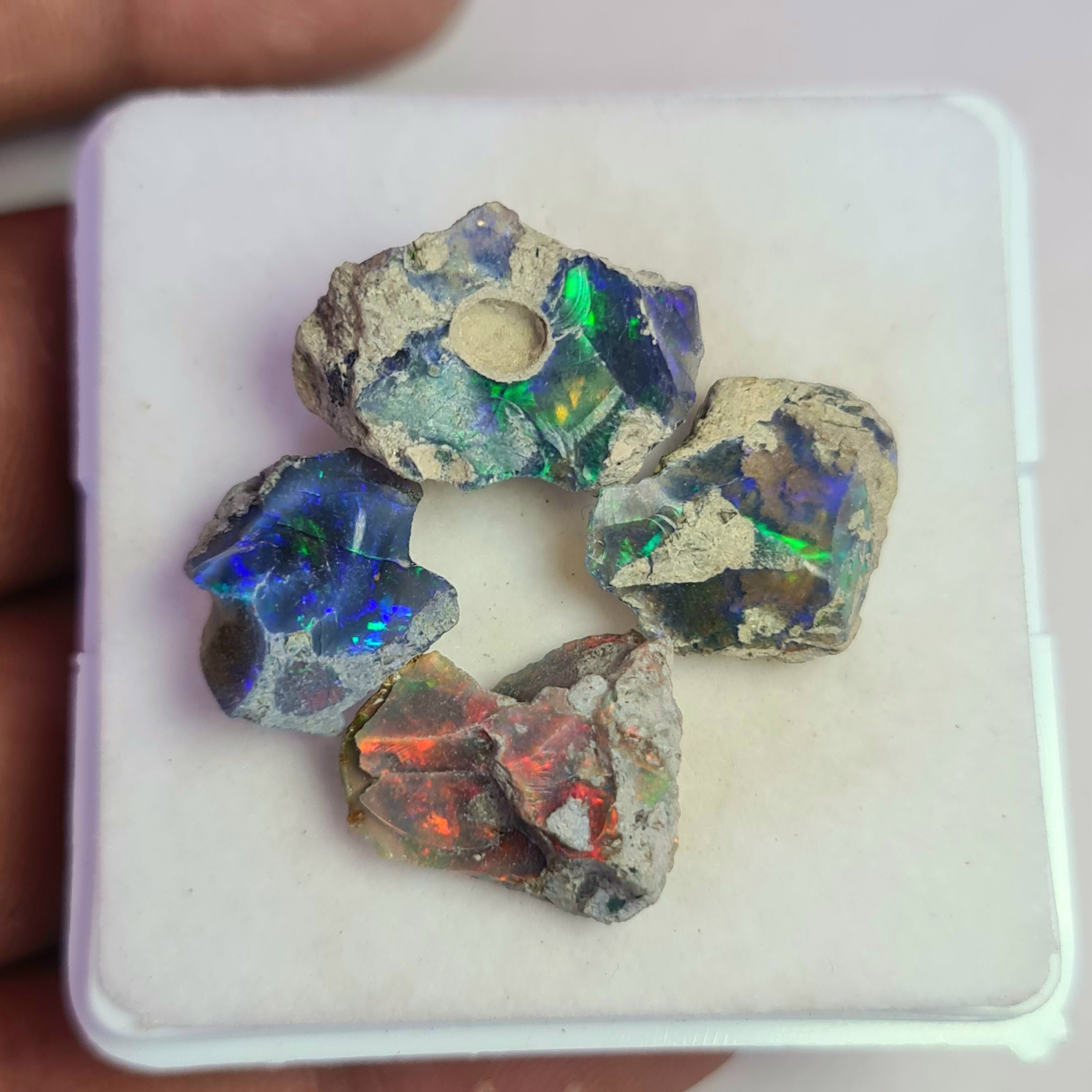 4 Pcs of Black Opal Rough | Sizes: 12-19mm - The LabradoriteKing