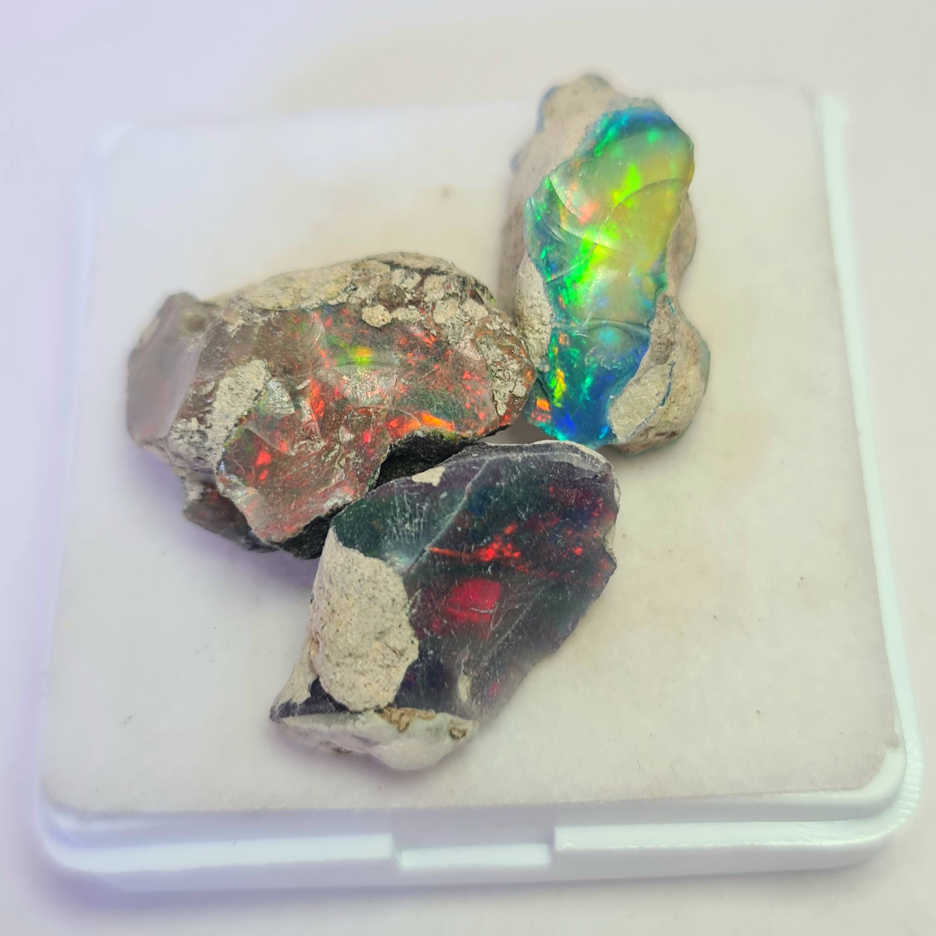 3 Pcs of Black Opal Rough | Sizes: 21-25mm - The LabradoriteKing