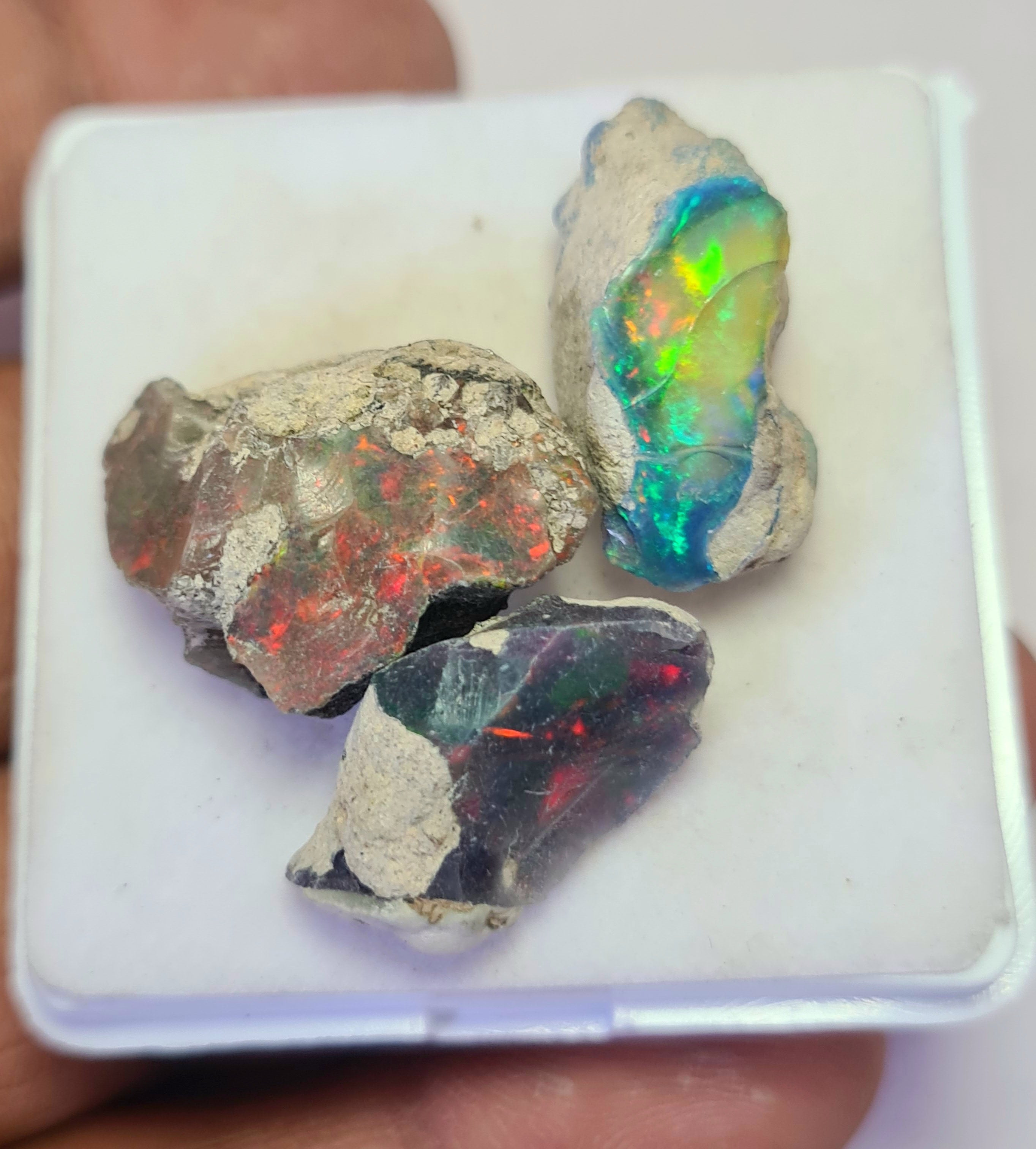 3 Pcs of Black Opal Rough | Sizes: 21-25mm - The LabradoriteKing
