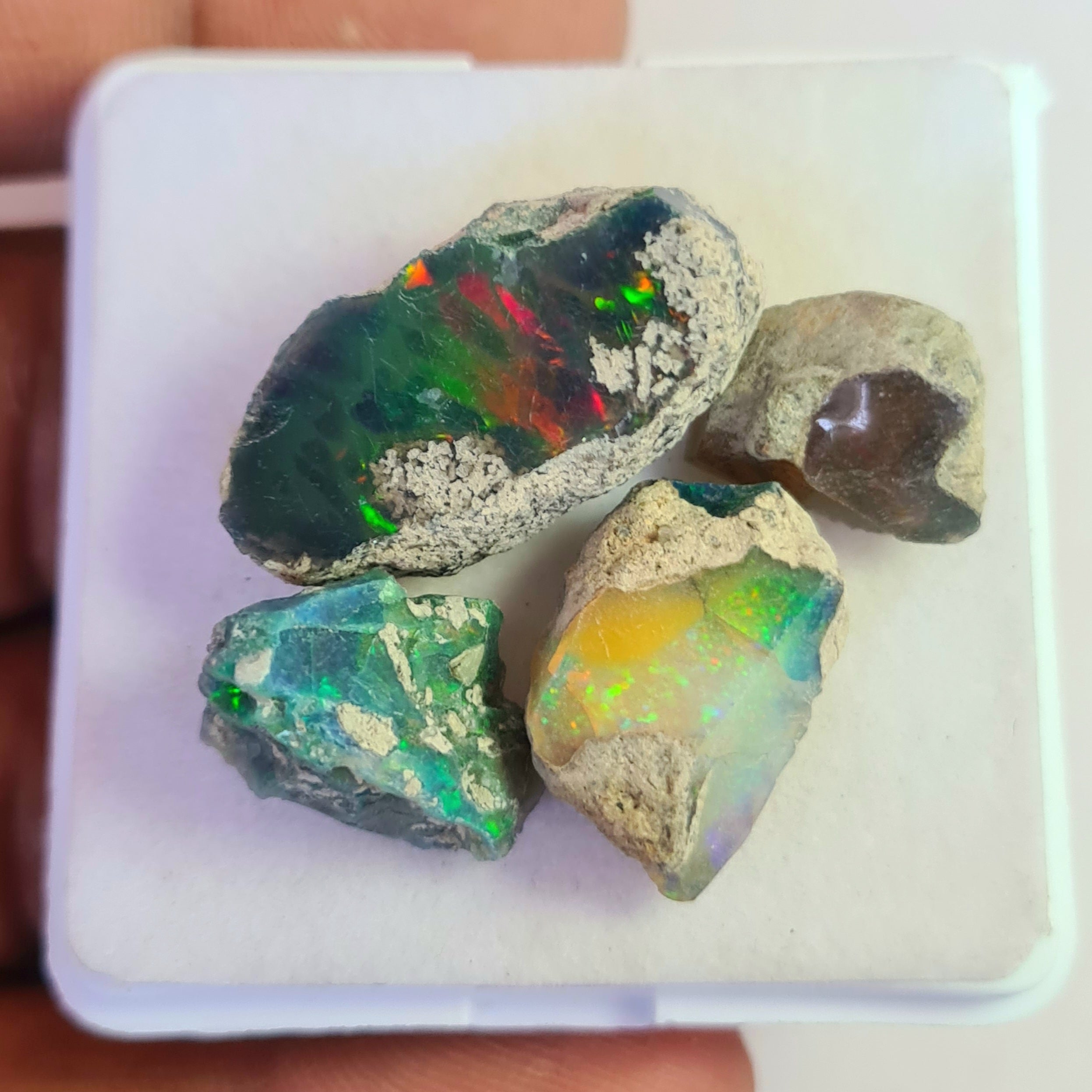 4 Pcs Natural Black Opal Rough | Sizes: 15-27mm - The LabradoriteKing