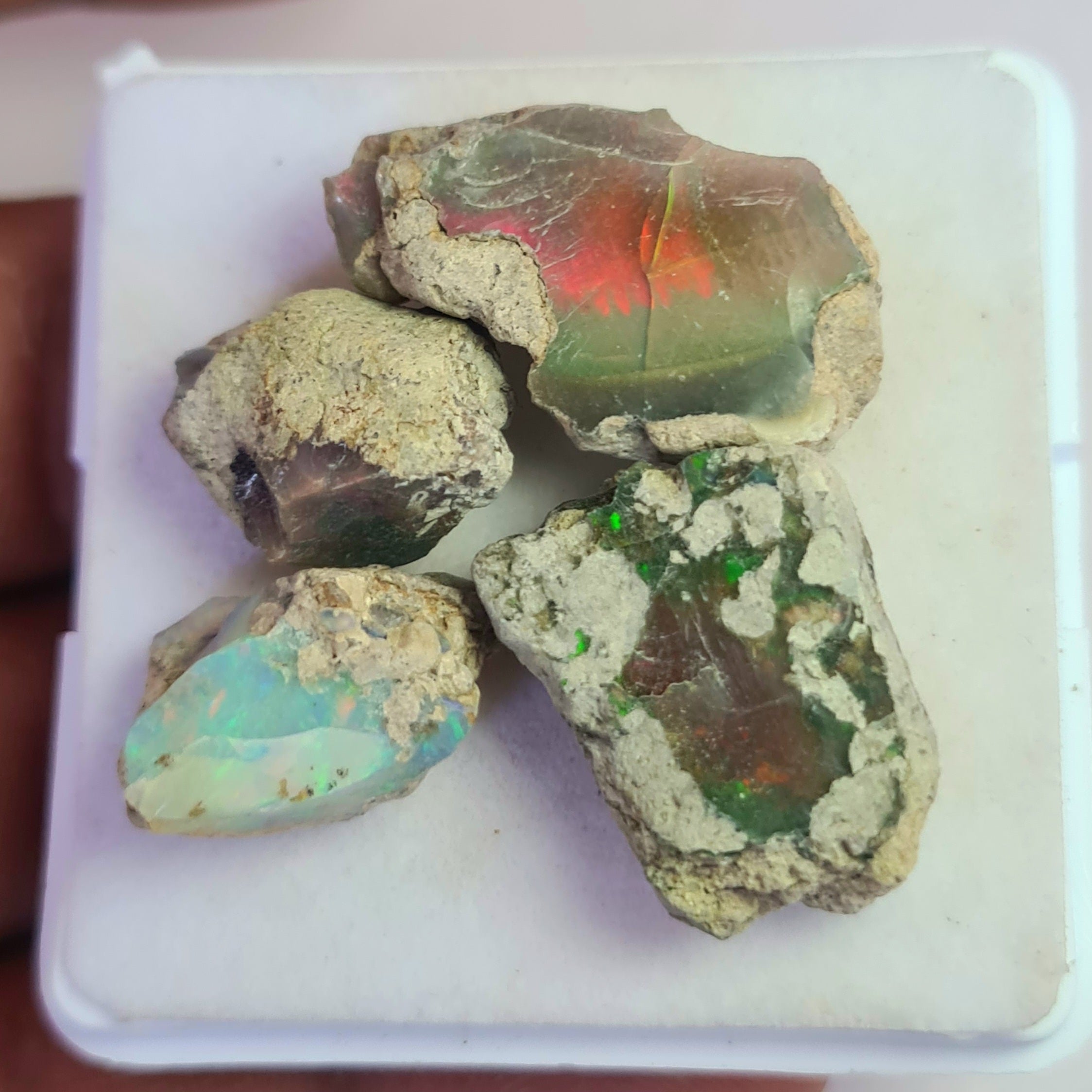 4 Pcs Natural Black Opal Rough | Sizes: 17-26mm - The LabradoriteKing
