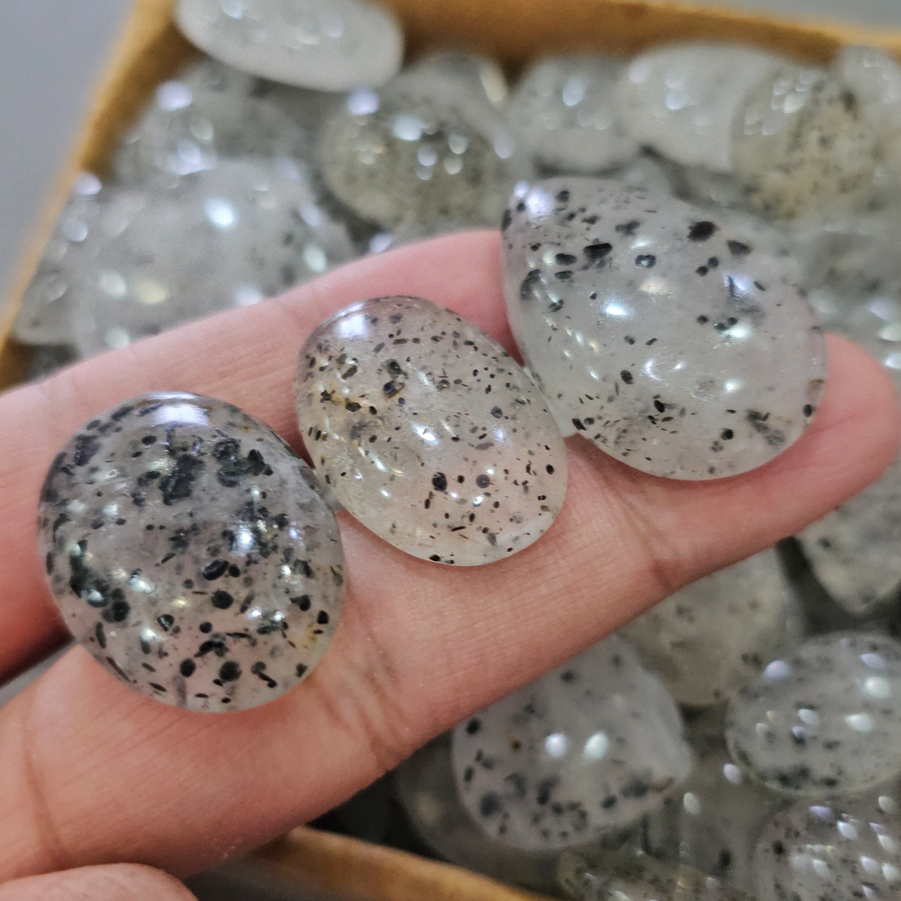 500Gram/1KG Black Dot Cabochons | 190-200 Pcs |20-40mm - The LabradoriteKing