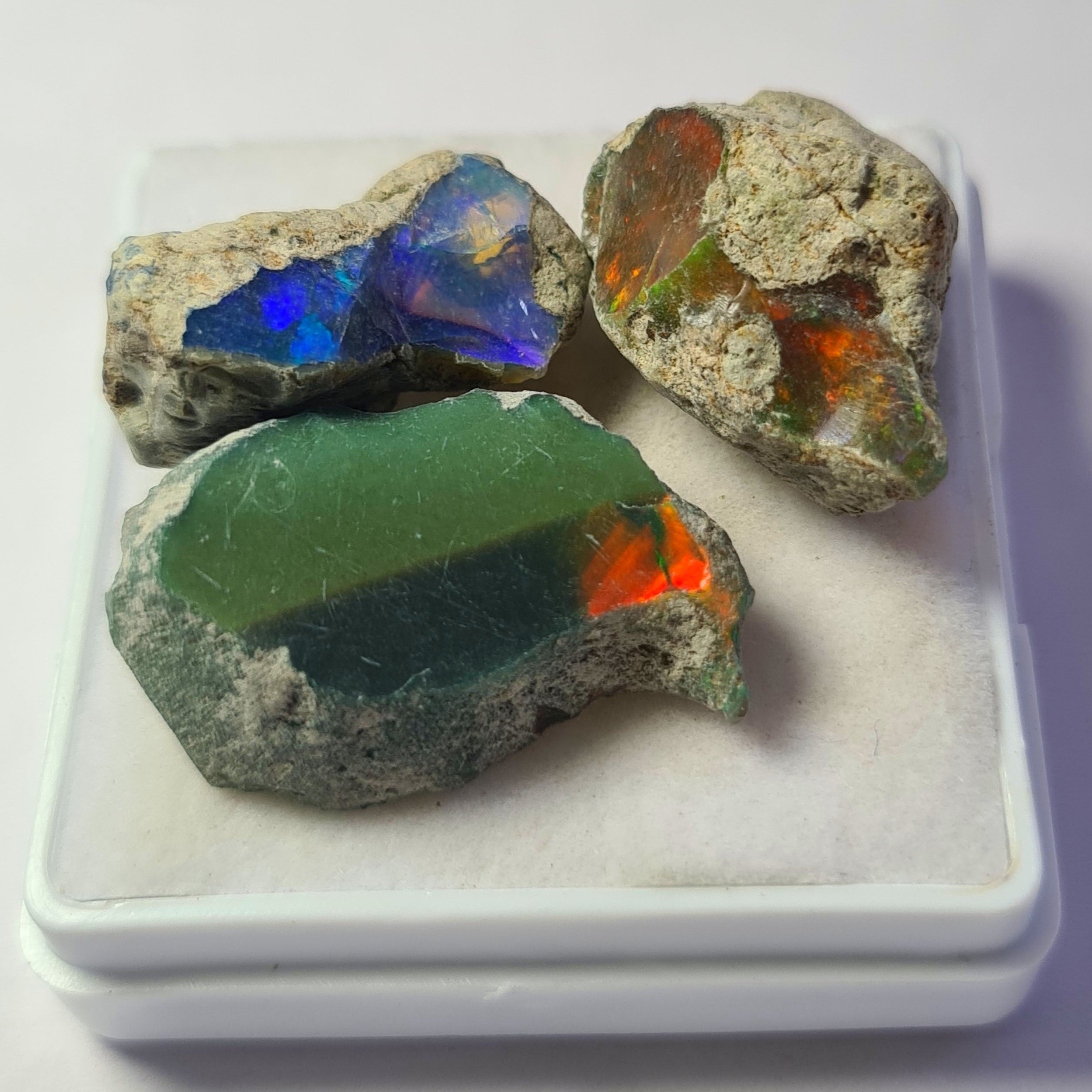 3 Pcs of Natural Black Opal Rough | Sizes: 21-25mm