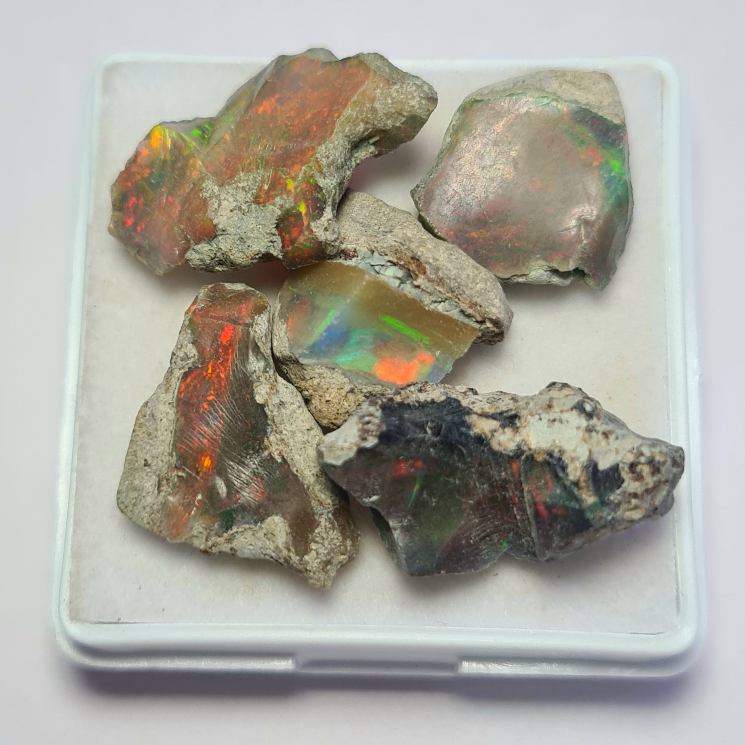 5 Pcs of Natural Black Opal Rough | Sizes: 15-21mm