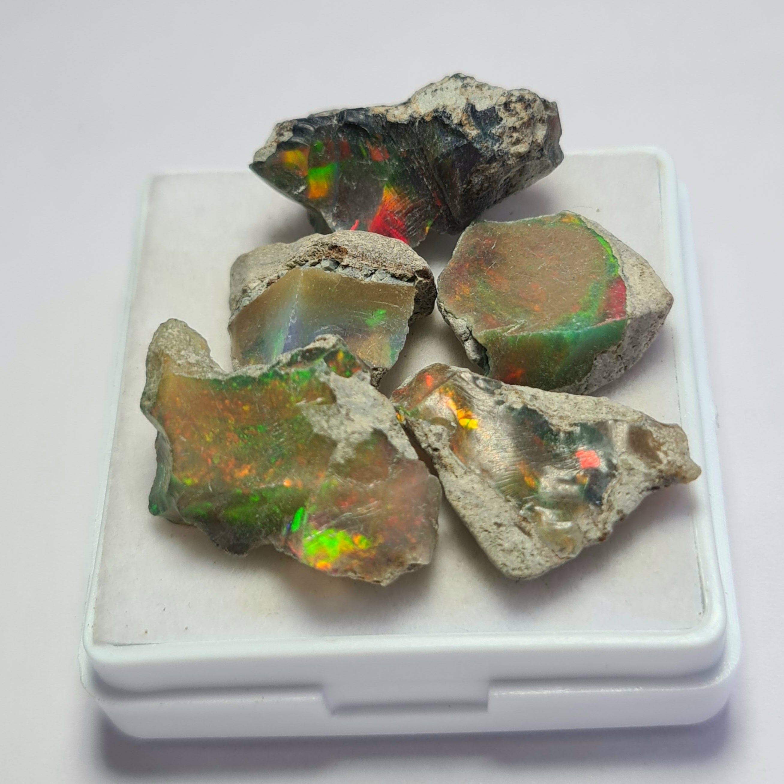 5 Pcs of Natural Black Opal Rough | Sizes: 15-21mm