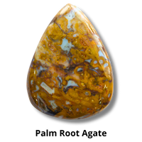 Palm Root Agate