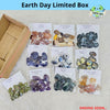 Earth Day Limited Box | 1KG | Sunstone, Amethyst, Moonstone, Labradorite, Moss agate & more - The LabradoriteKing