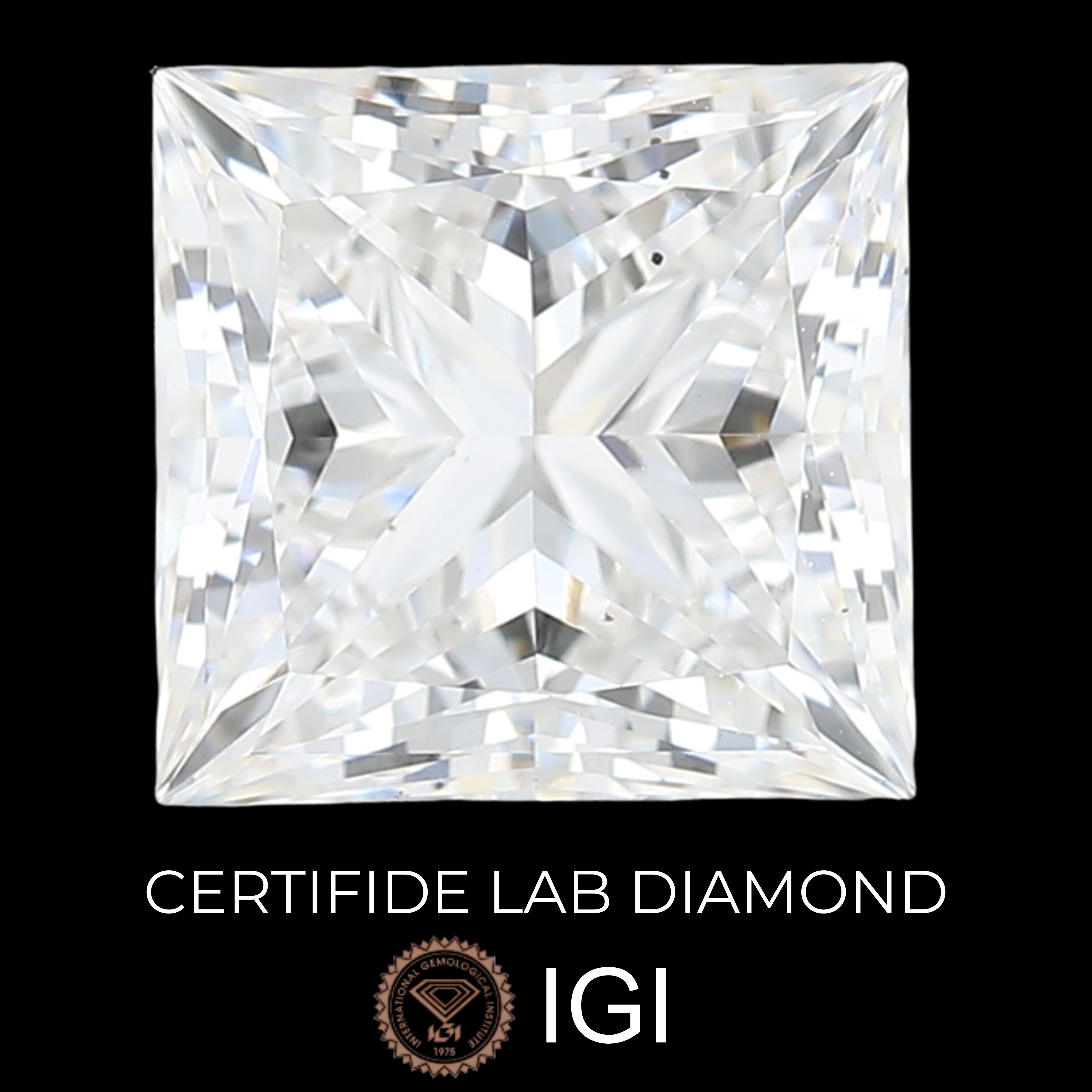 Lab Grown Diamond Princess Cut | Excellent Cut | VS2 Clarity | E Color Fine White | Premium Quality - The LabradoriteKing