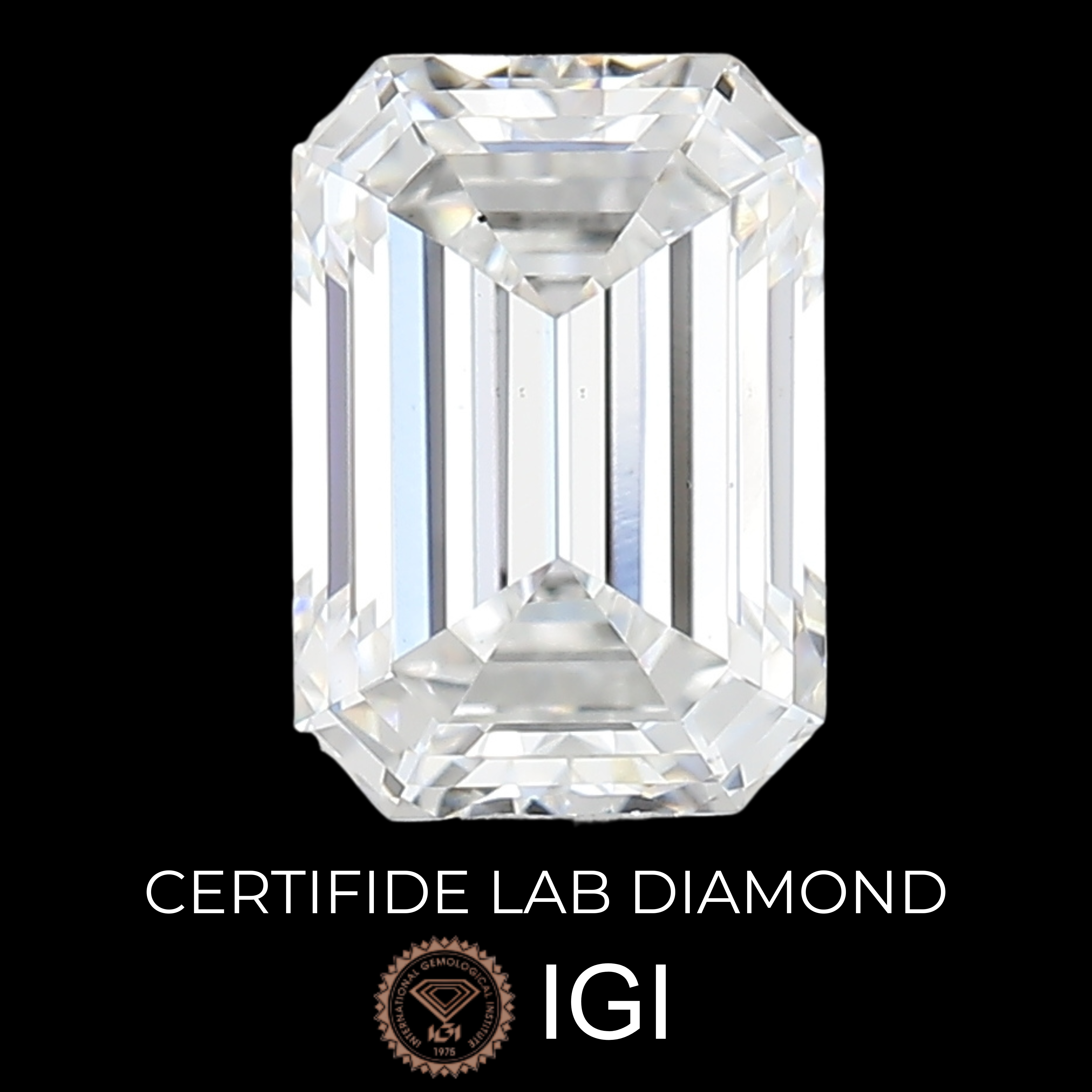Lab Diamond Emerald Cut | EX Cut | VS2  | D Color | IGI Certified with Engraving - The LabradoriteKing