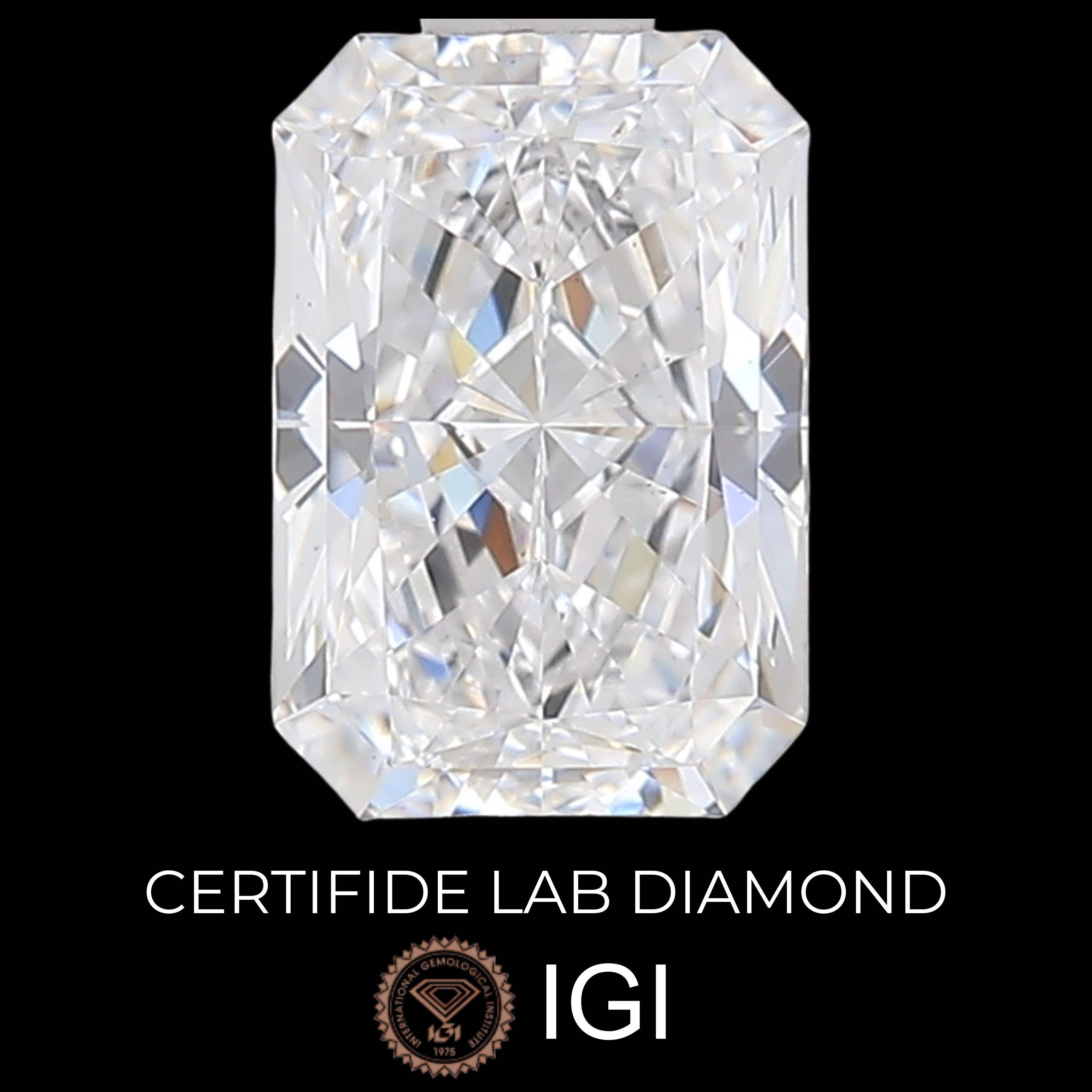 Lab Diamond Radiant Cut | EX Cut | VS2  | D Color | IGI Certified with Engraving - The LabradoriteKing