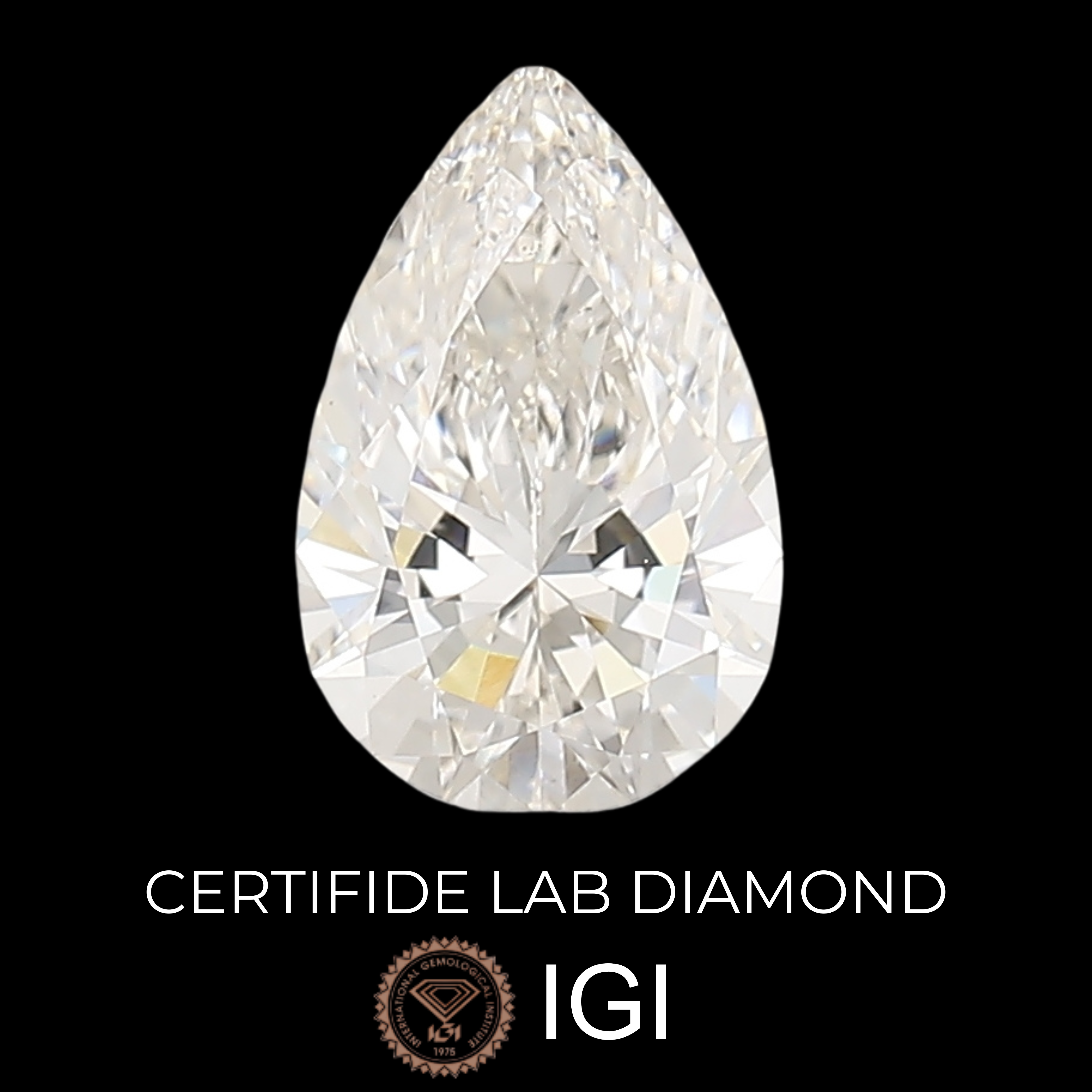 Lab Diamond Pear Cut | EX Cut | VS1  | G Color | IGI Certified with Engraving - The LabradoriteKing
