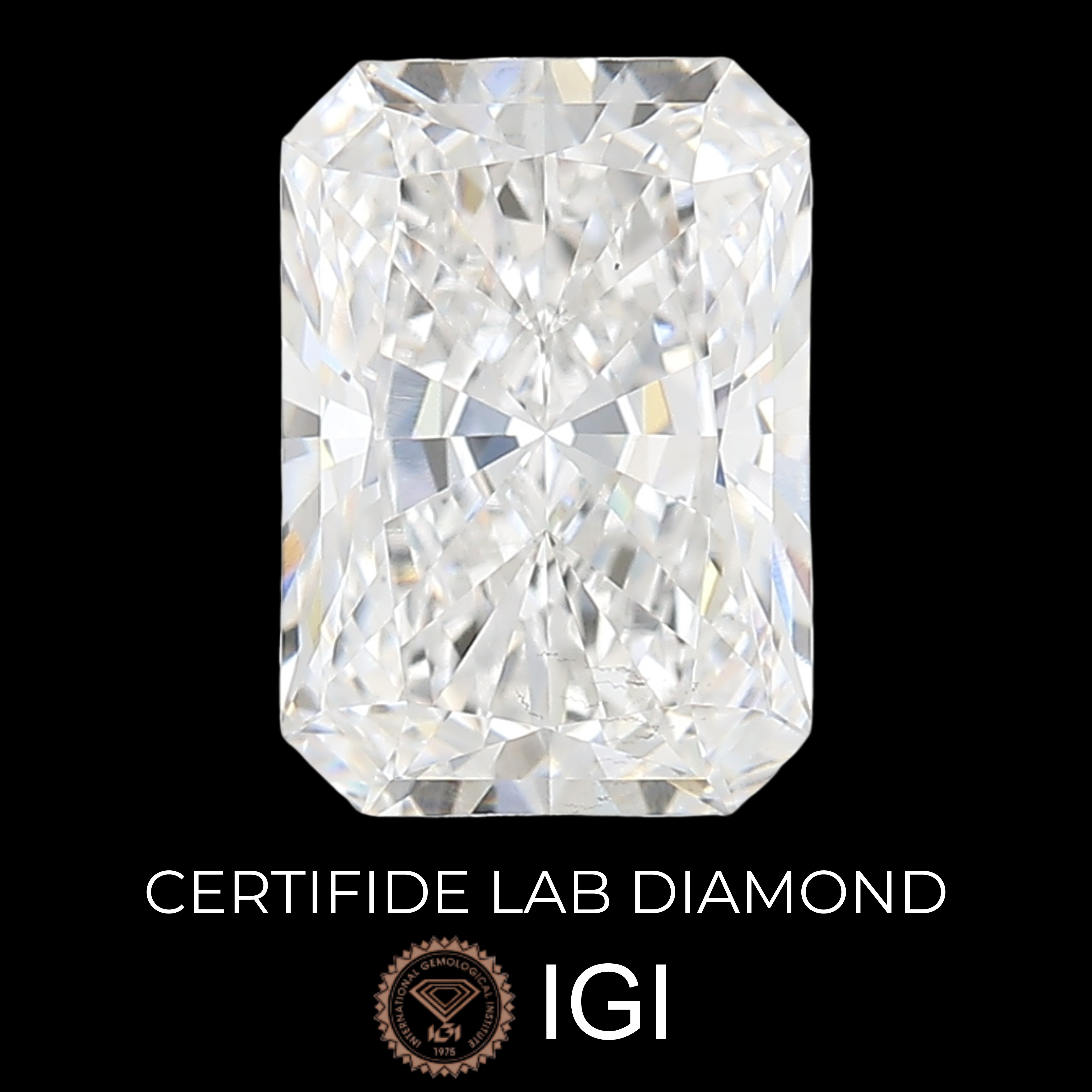 Lab Diamond Radiant Cut | EX Cut | VS2  | D Color | IGI Certified with Engraving - The LabradoriteKing