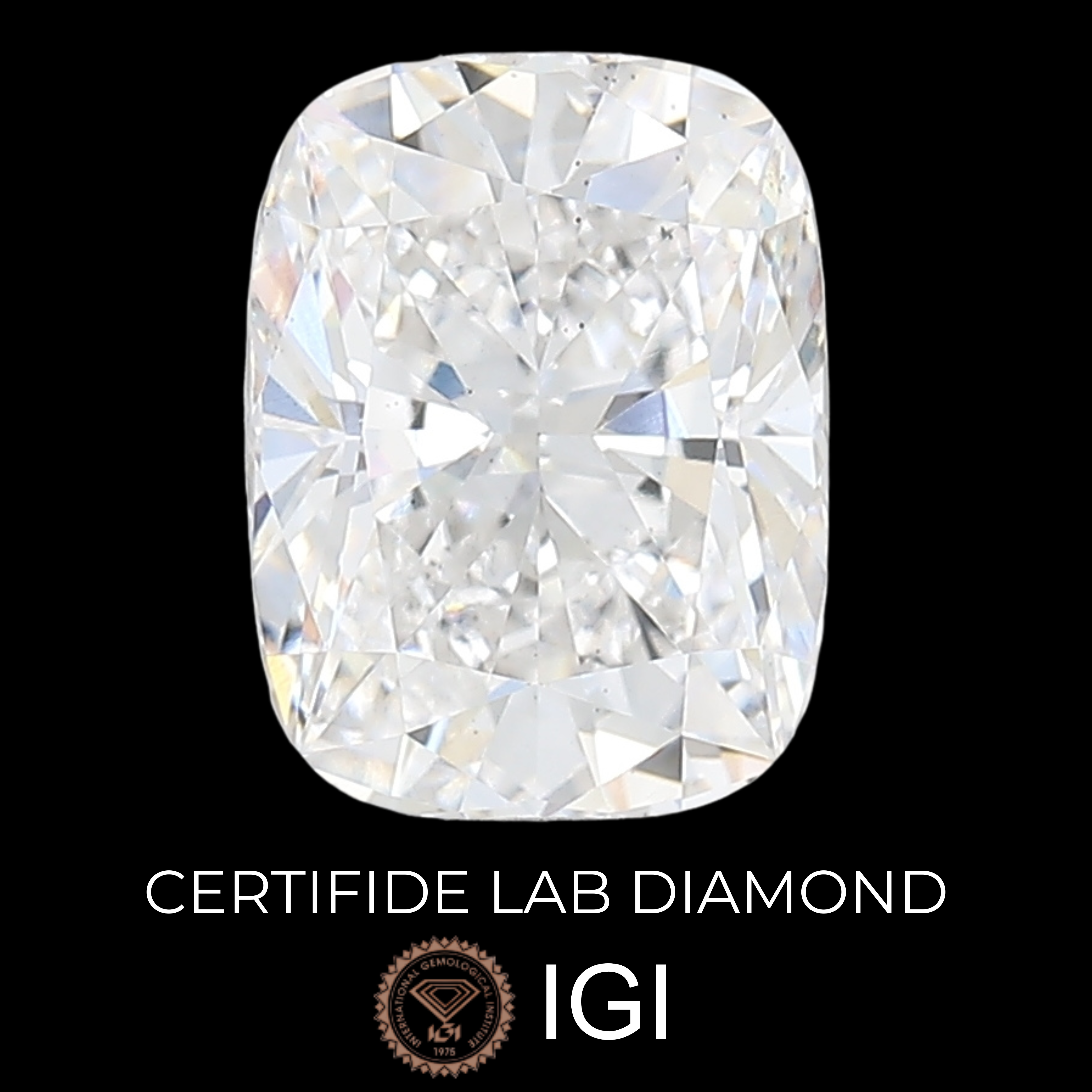 Lab Diamond Cushion Cut | EX Cut | VS2  | E Color | IGI Certified with Engraving - The LabradoriteKing