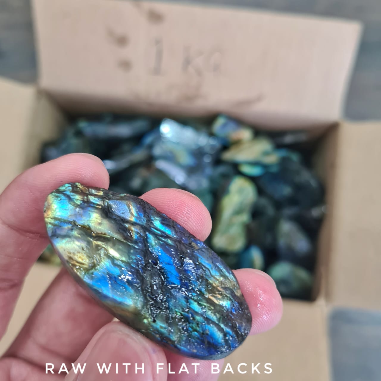 Raw Labradorite with flat backs | Shaped in Ovals, Pears and Rounds. - The LabradoriteKing