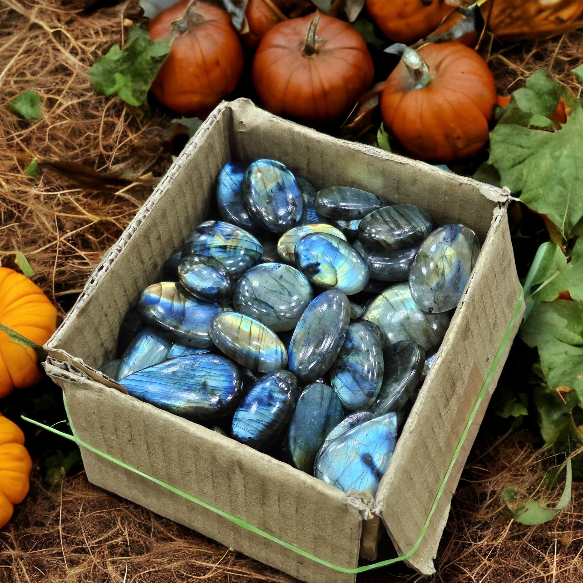 100 Pcs of Multi Fire Labradorite Cabochon | 20mm to 30mm | Flash in all Pieces - The LabradoriteKing