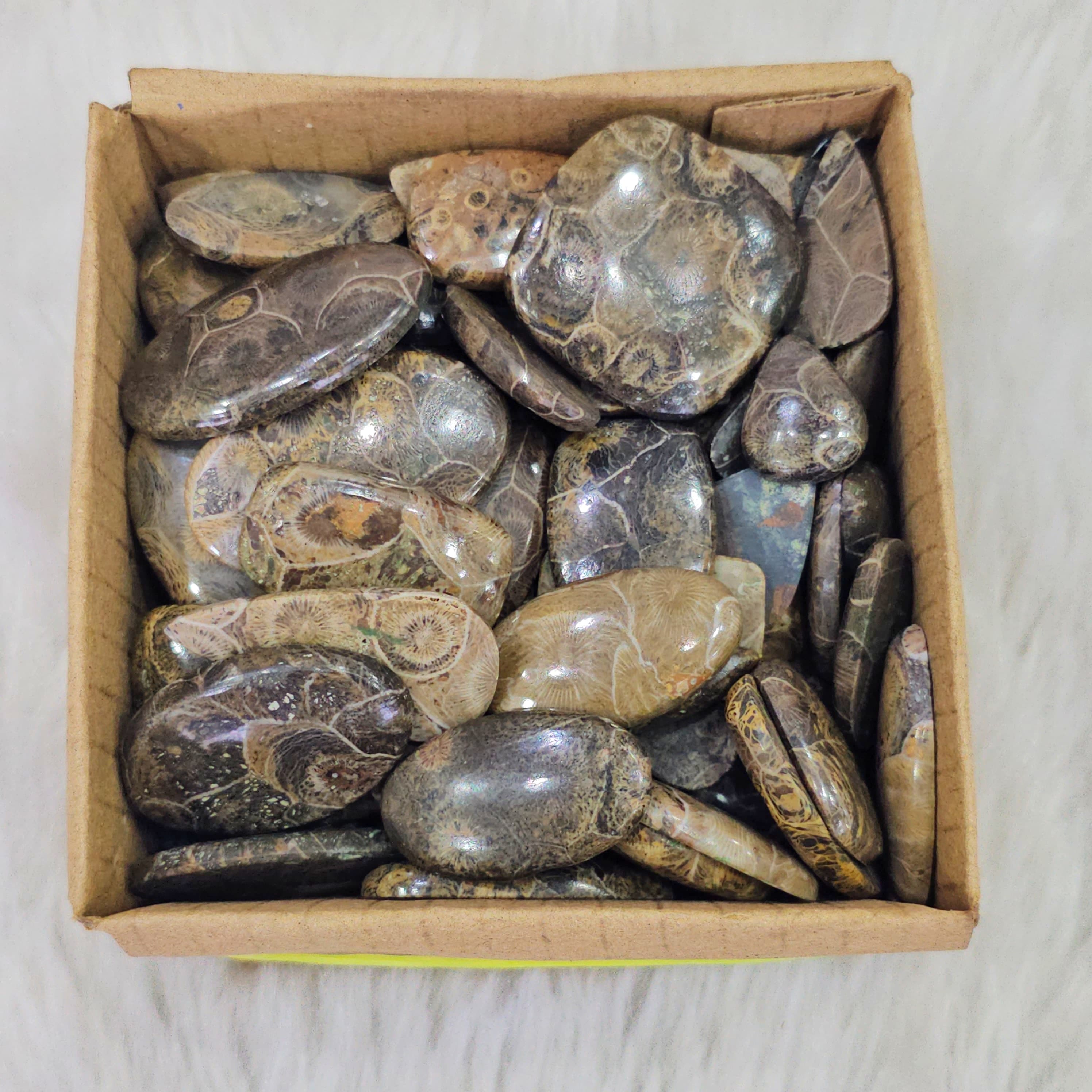 500 Grams FossilJasper | 1"-3" Inches  | 40-50 Pcs approx