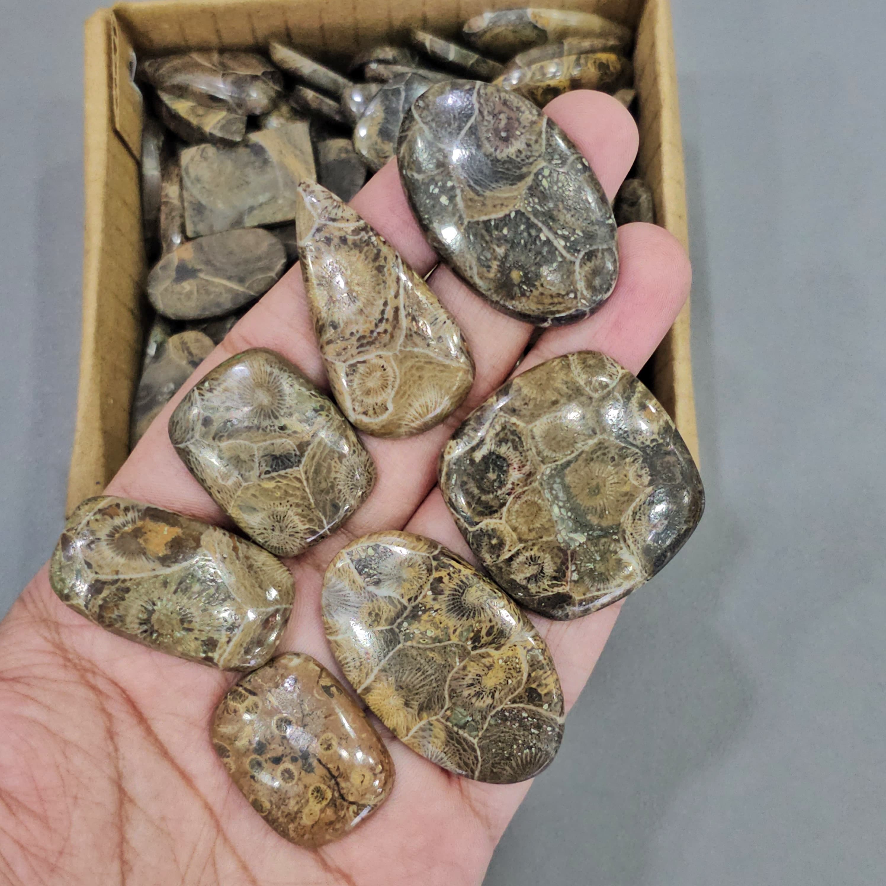 500 Grams FossilJasper | 1"-3" Inches  | 40-50 Pcs approx