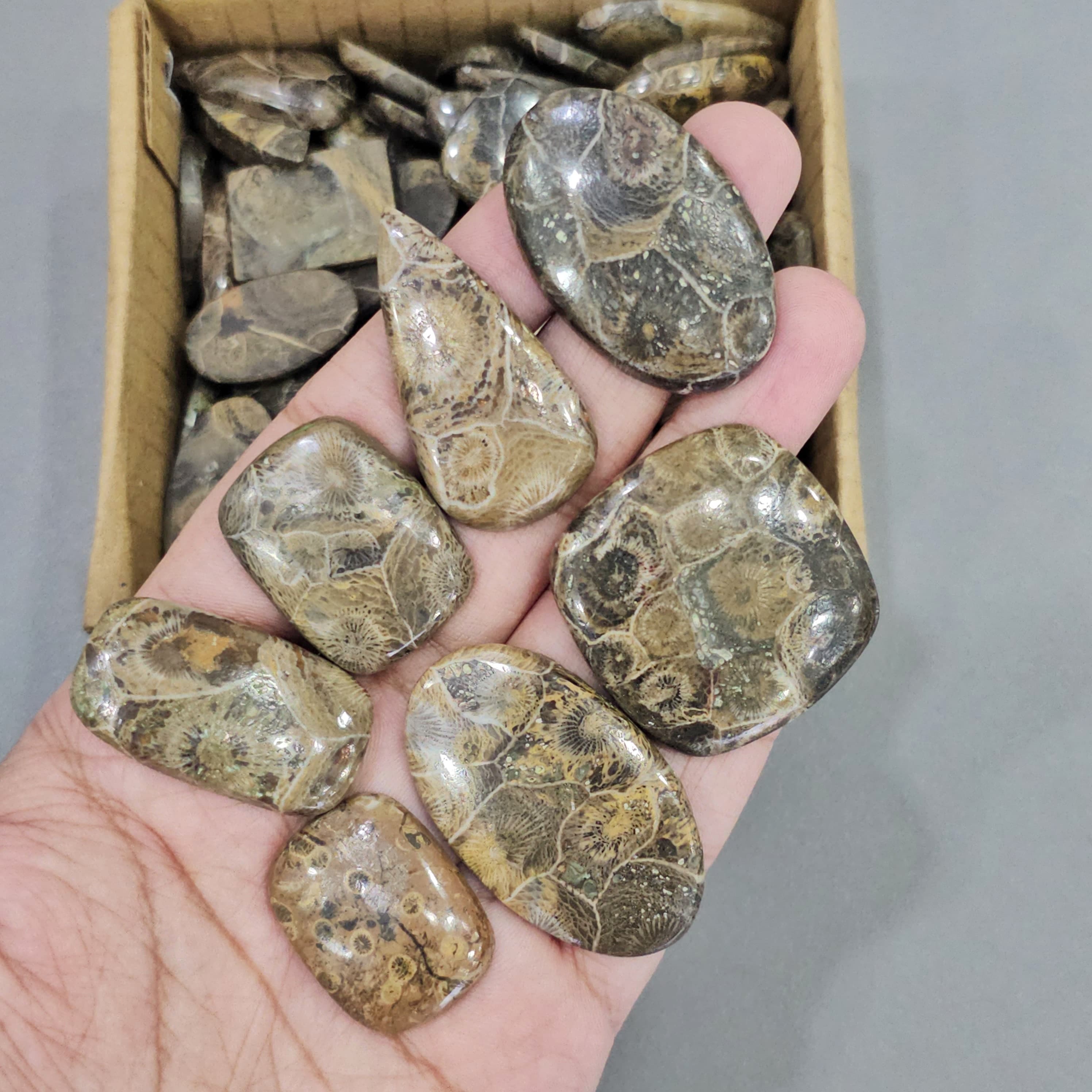 500 Grams FossilJasper | 1"-3" Inches  | 40-50 Pcs approx