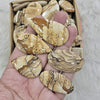 500Gram/1Kg Picture Jasper | 1"-3" Inches  | 90-110 Pcs