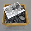 200 Grams of Faceted Black Rutile Quartz with Flat Backs Form Sri Lanka| 25 Pcs approx