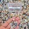 59 Grams Of Moonstone in Multi colours 30-40 Pcs | 8-16mm - The LabradoriteKing