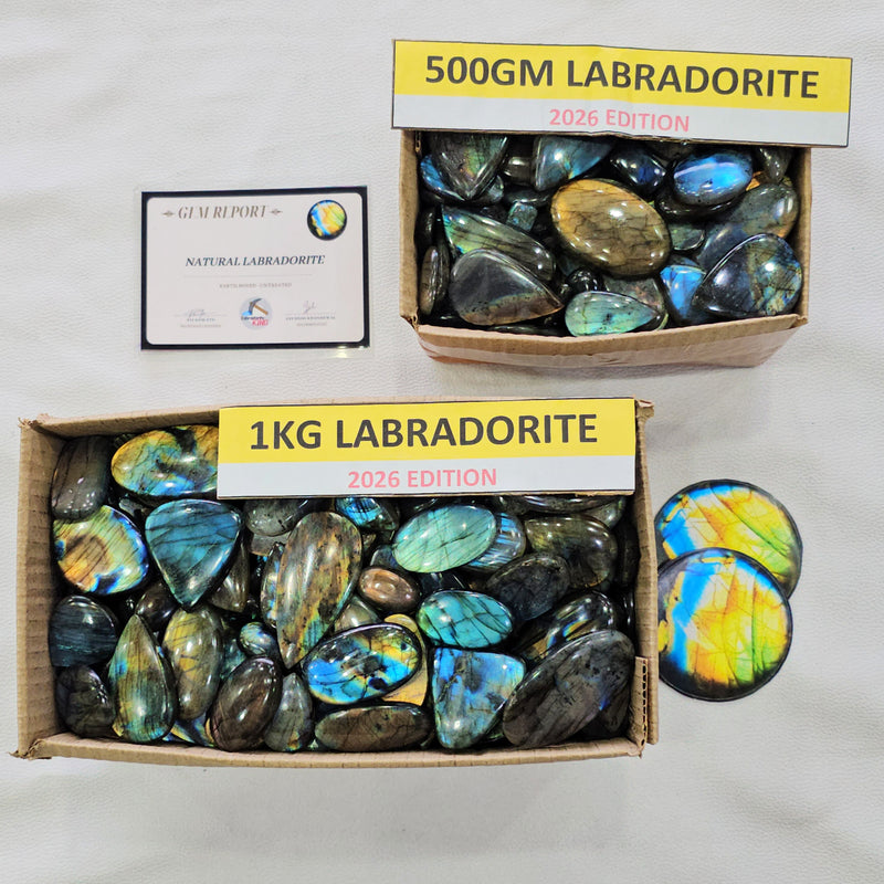 Wholesale🔥 Labradorite Cabochons V4.0 | Flashy High quality slabs 1-3"Inches | 80-100 pcs - The LabradoriteKing
