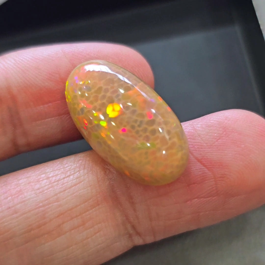 Natural Ethiopian Opal Cabochon Multi Fire | Oval | Size: 24x13mm | 14.9Cts - The LabradoriteKing