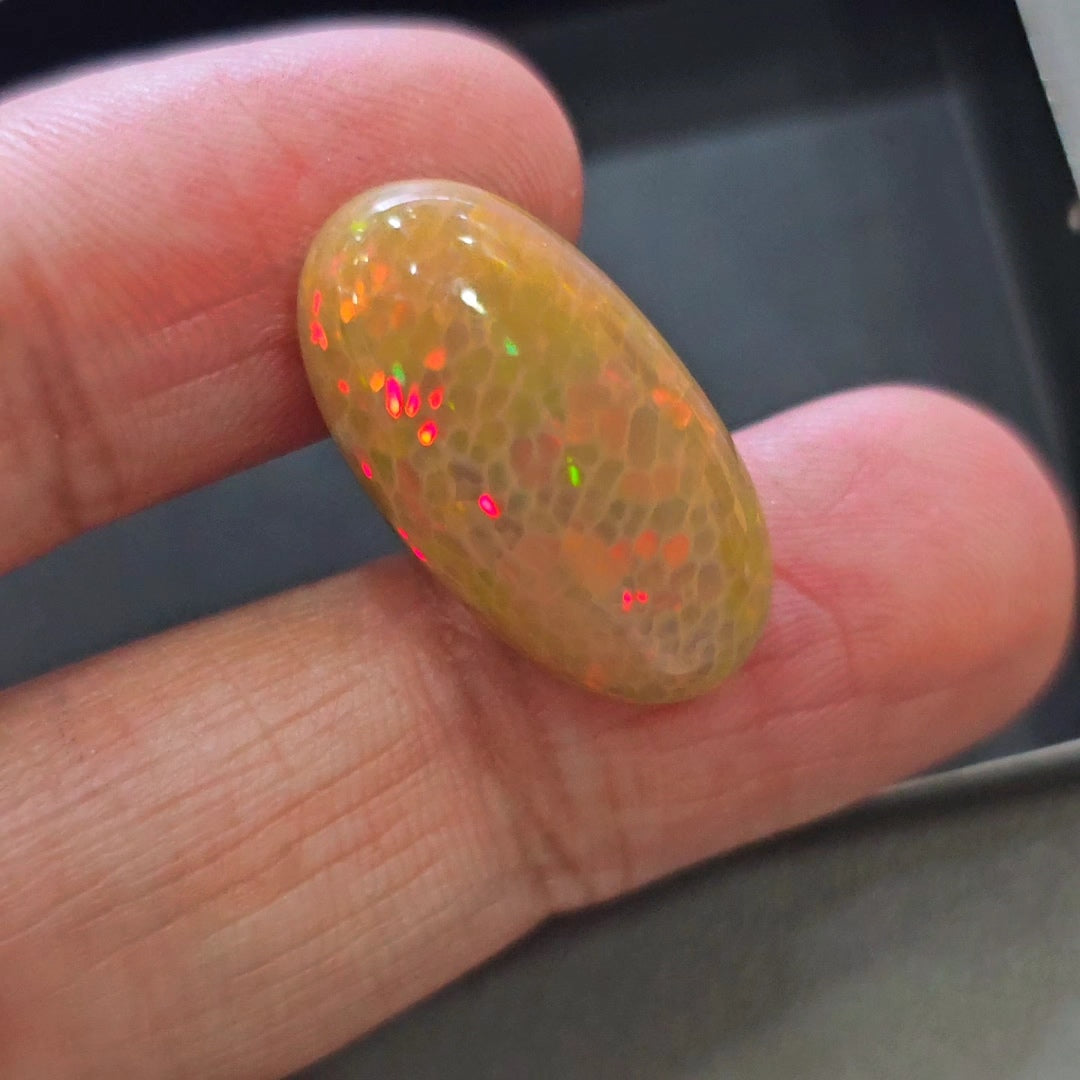 Natural Ethiopian Opal Cabochon Multi Fire | Oval | Size: 24x13mm | 14.9Cts - The LabradoriteKing