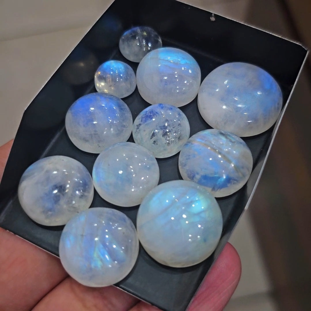 11 Pcs Natural Rainbow Moonstone Cabochons |12-23mm | Shape: Round
