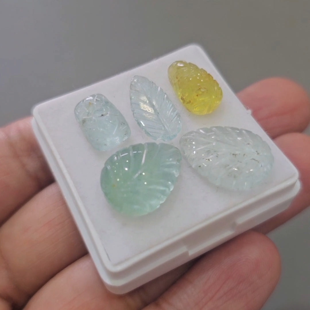 5 Pcs Natural Mix Berly Carved |12-17mm | Shape: Leaf & Flower