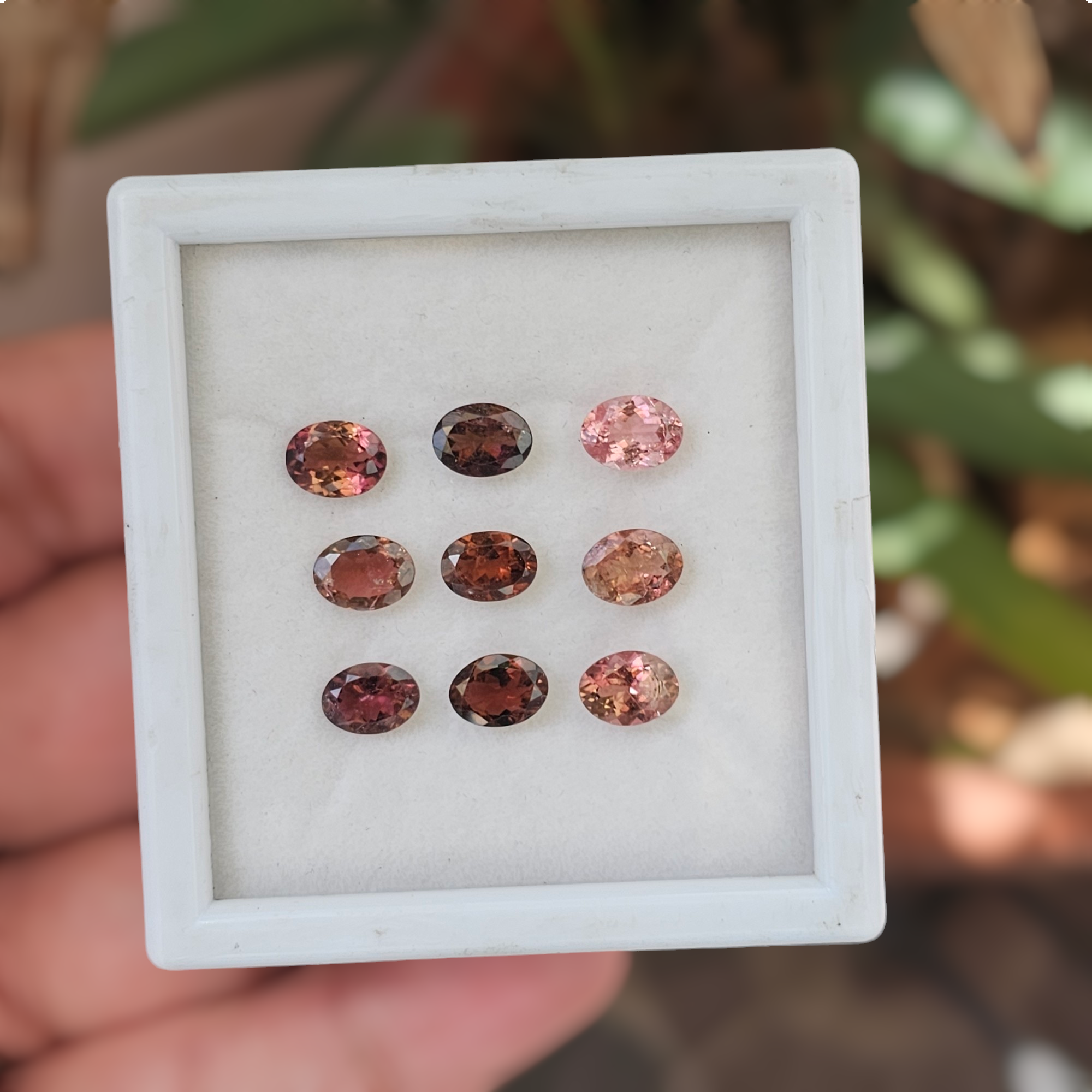 9 Pcs Of Natural Rubellite Tourmaline Faceted | Oval| Size:8x6mm - The LabradoriteKing