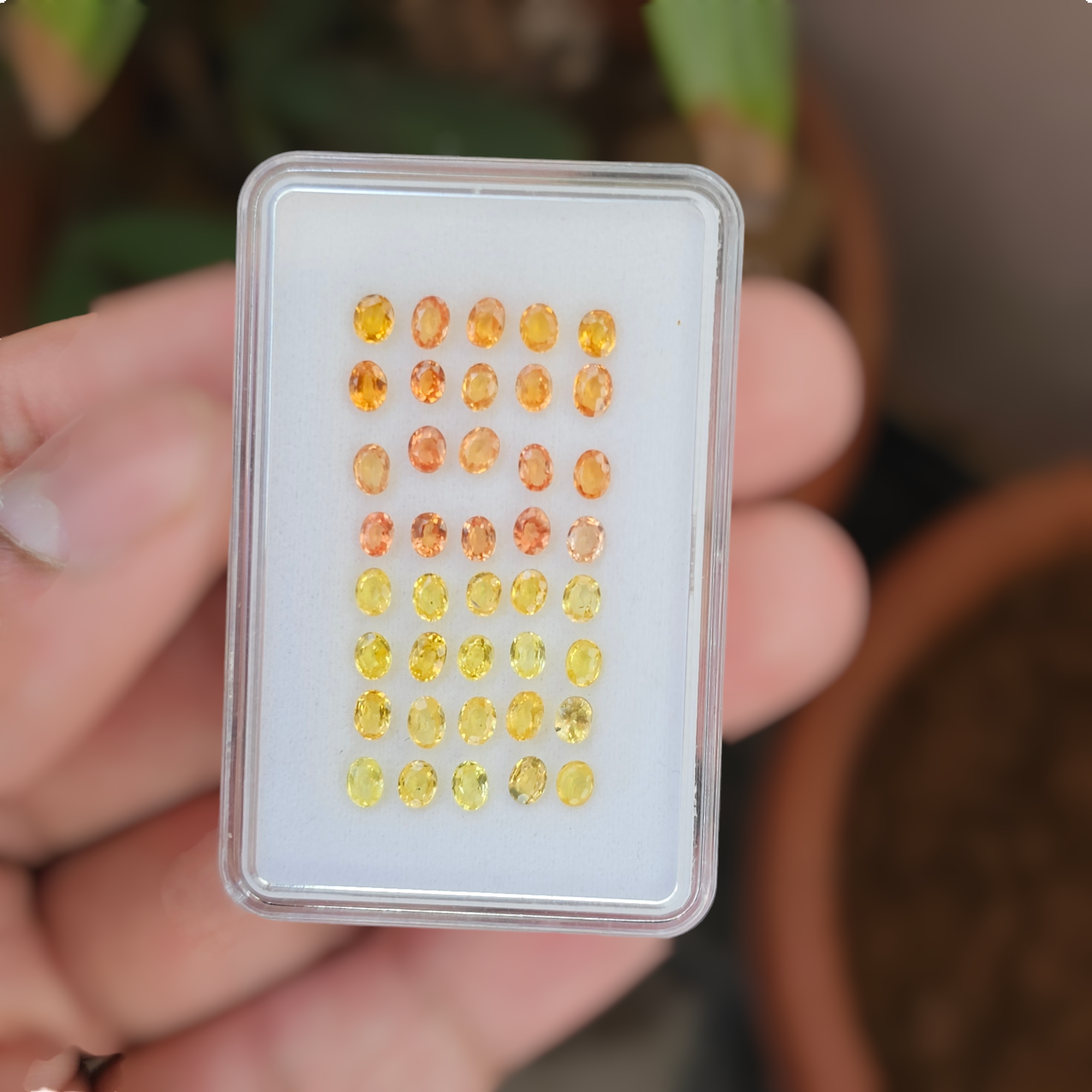 40 Pcs Of Natural Yellow & Orange Sapphire Faceted | Shap: Oval| Size:3-4mm - The LabradoriteKing