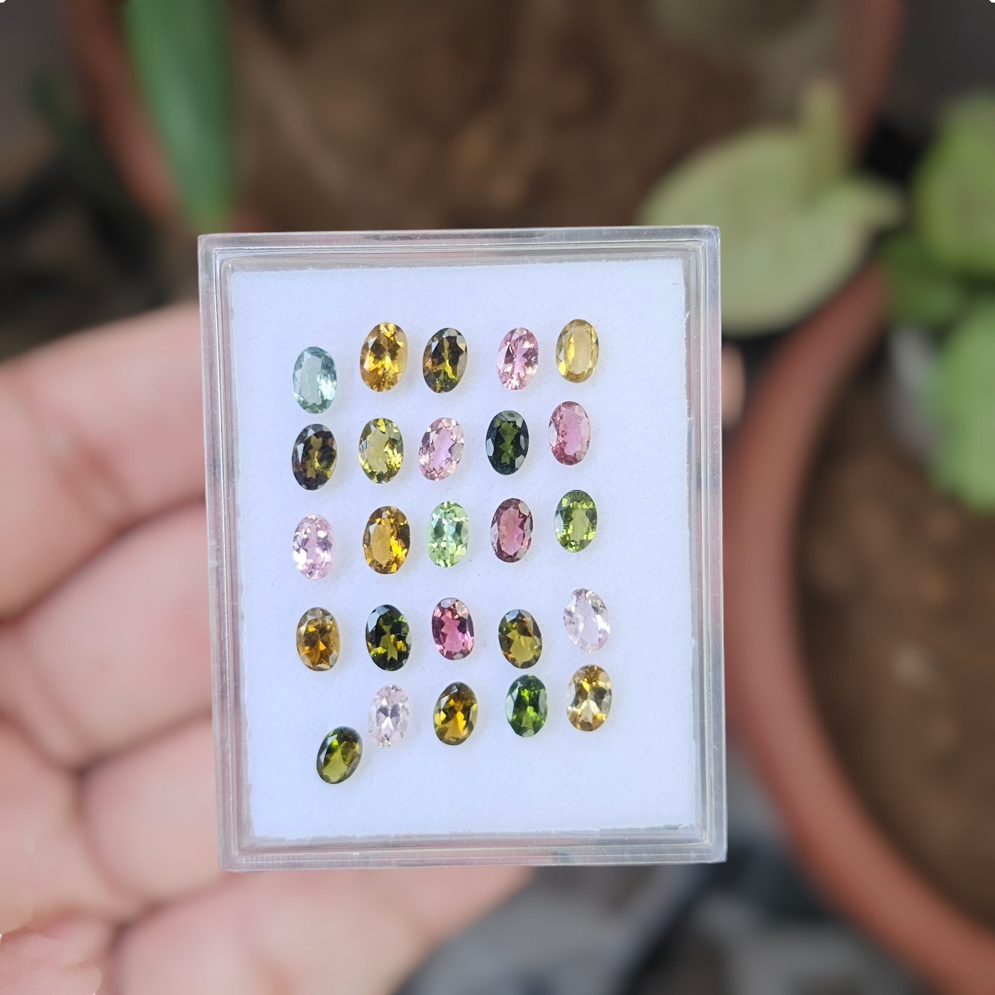 25 Pcs Of Natural Tourmaline Faceted | Shape: Oval | Size:6x4mm - The LabradoriteKing