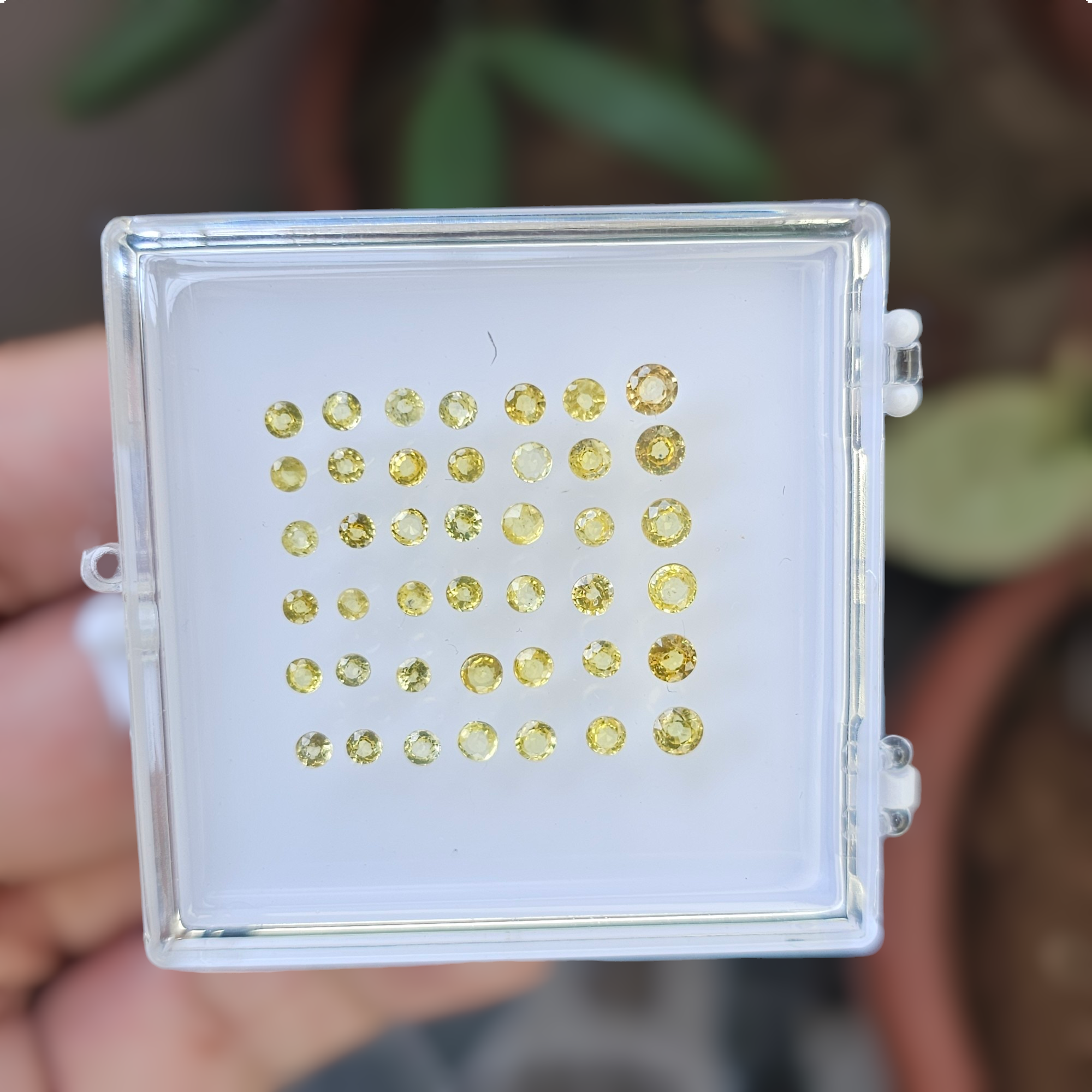 42 Pcs Of Natural Yellow Sapphires Faceted | Round Shape  | Size:2-4mm - The LabradoriteKing