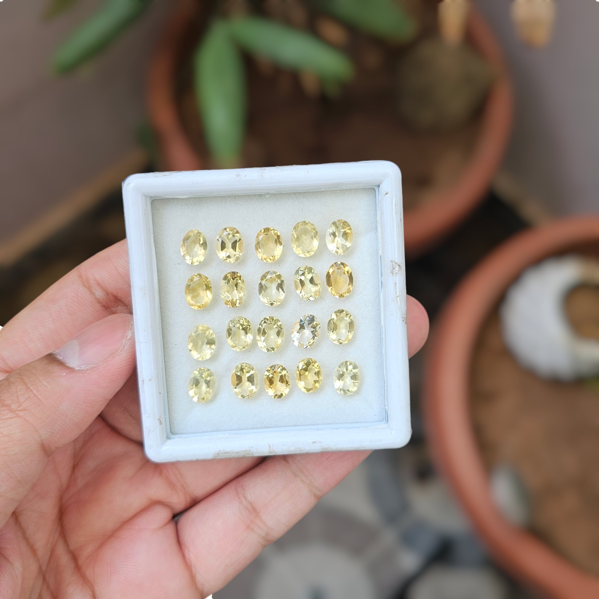 20 Pcs Of Natural Citrine Faceted | Shape: Oval | Size:8x6mm