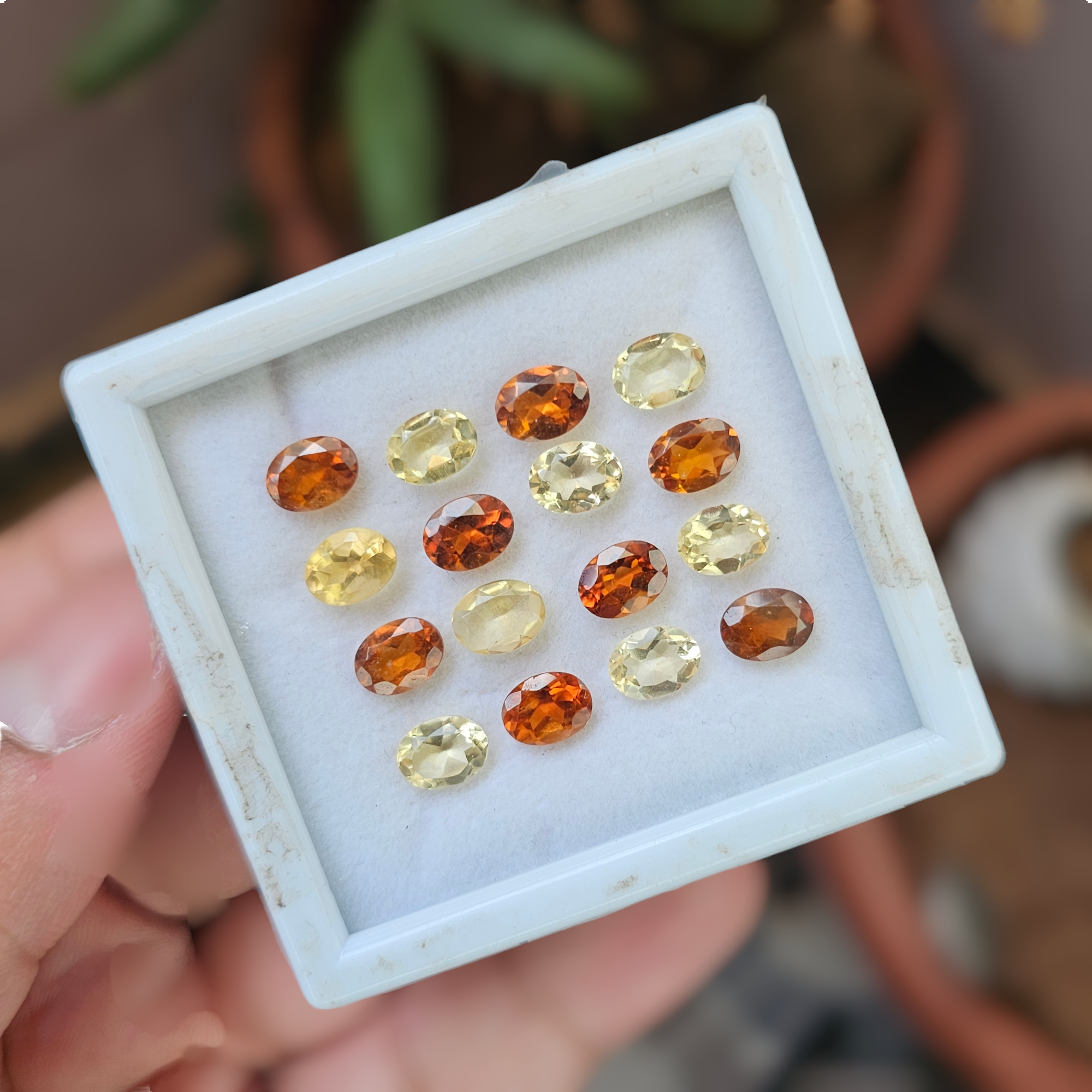 16 Pcs Of Natural Citrine & Hessonite Garnet Faceted | Shape: Oval | Size:8x6mm - The LabradoriteKing