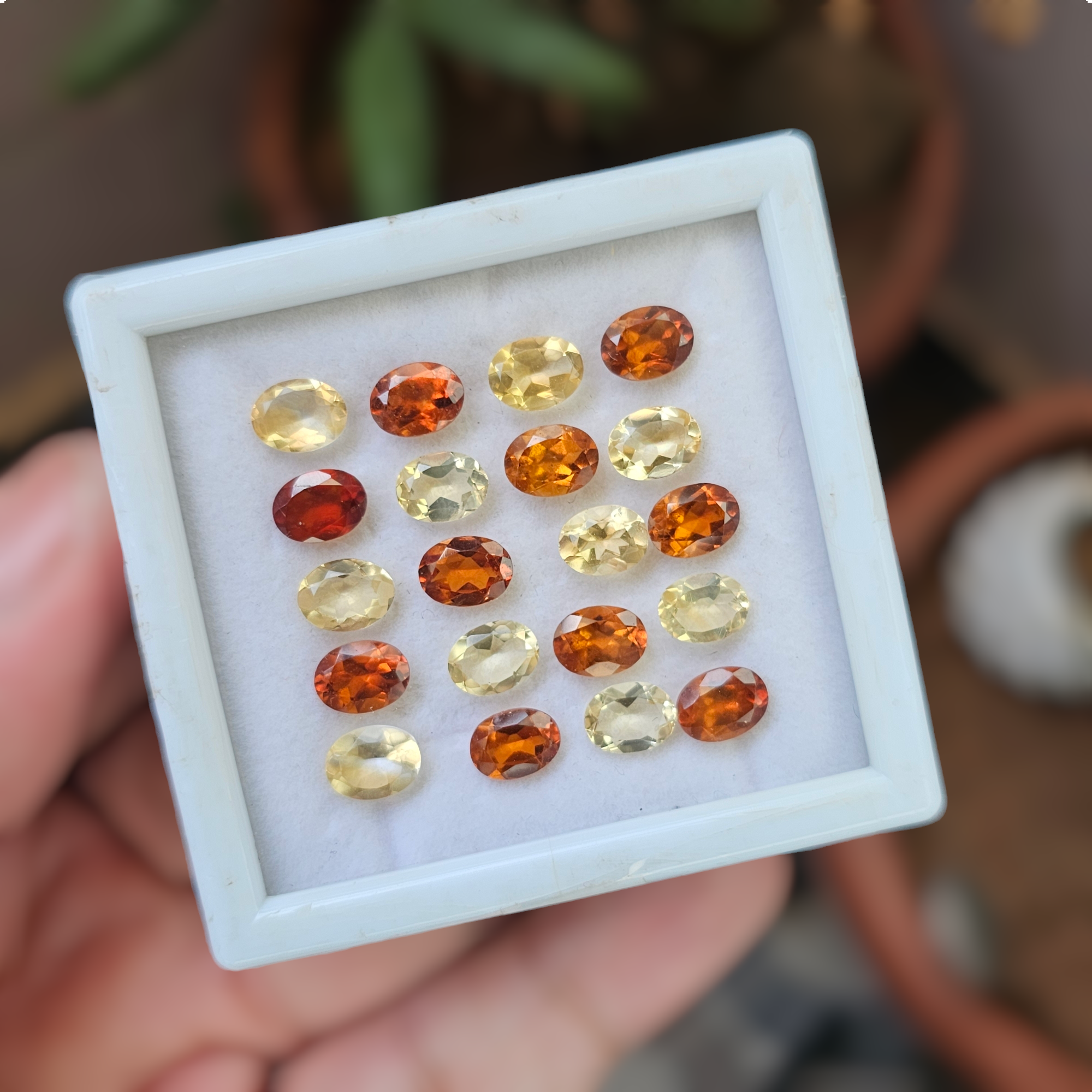 16 Pcs Of Natural Citrine & Hessonite Garnet Faceted | Shape: Oval | Size:8x6mm - The LabradoriteKing