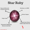 2 Pcs of Natural Star Ruby Cabochons | 6 Rayed Star - The LabradoriteKing