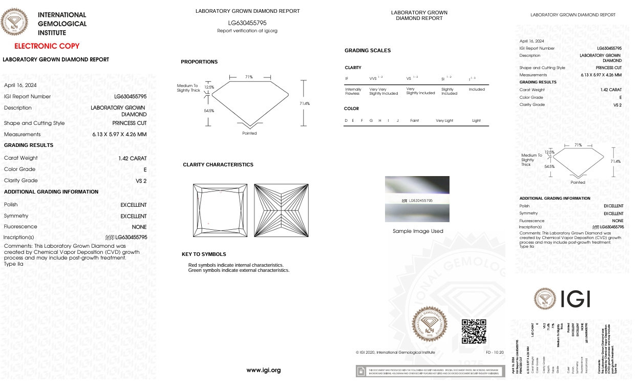 Lab Grown Diamond Princess Cut | Excellent Cut | VS2 Clarity | E Color Fine White | Premium Quality - The LabradoriteKing