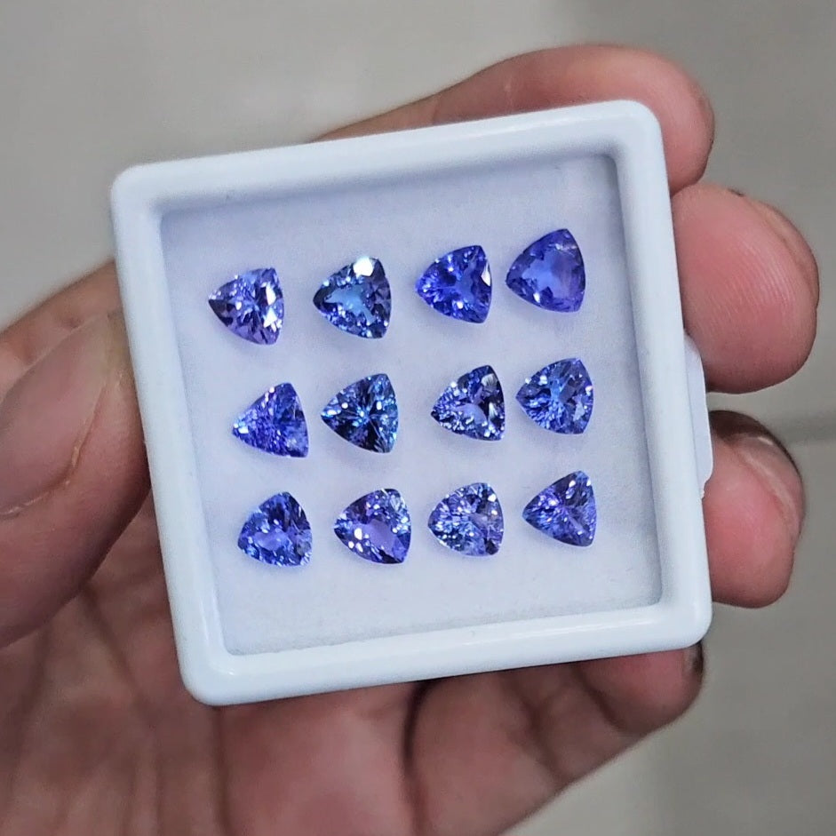 12Pcs Natural Tanzanite Faceted  | Trillion | Size: 6mm