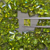 5 Pieces of Sqaure Cut Peridot | 7mm