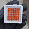 49Pcs of Natural Orange Garnet Faceted | Round | Size: 4mm